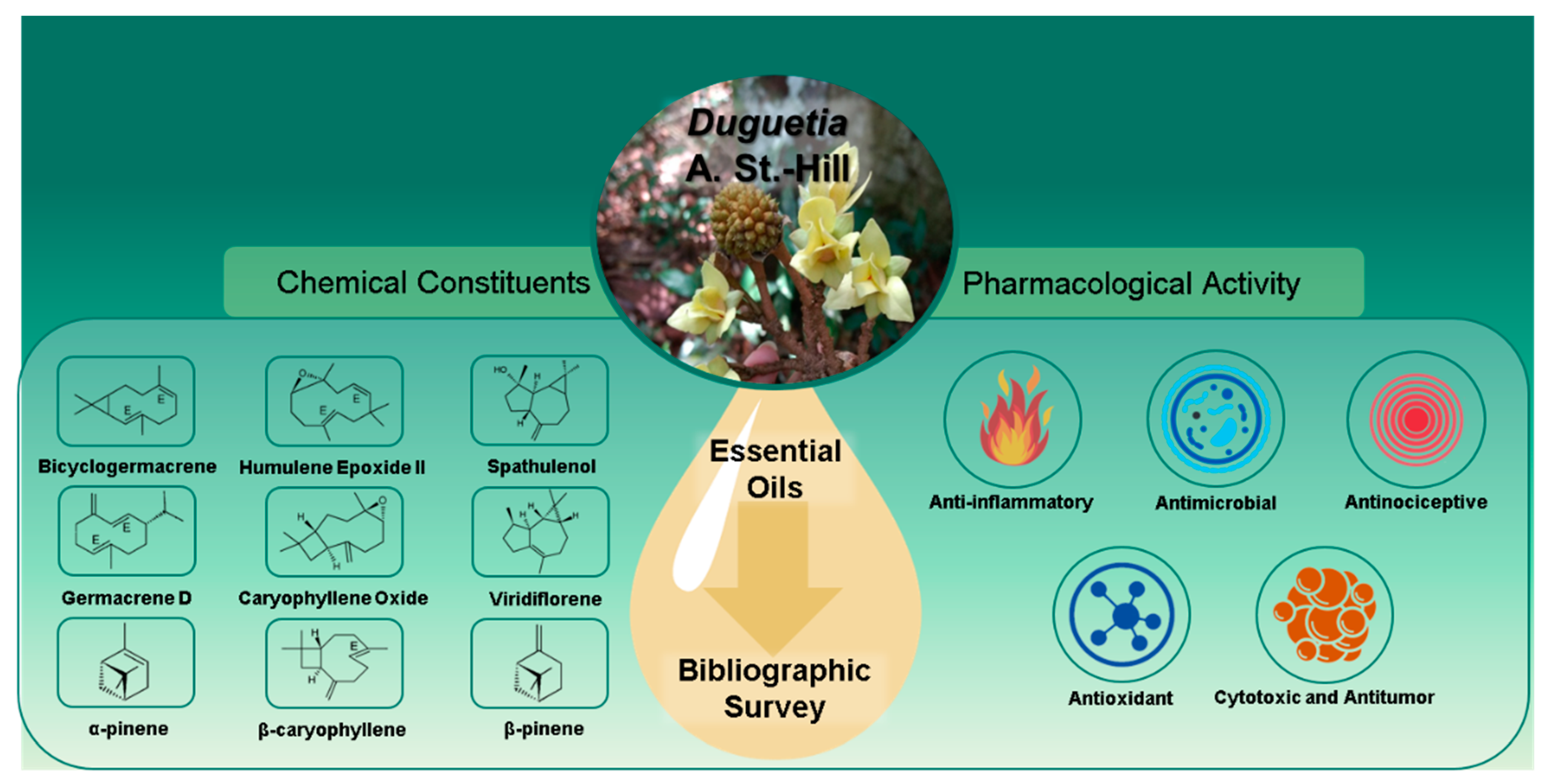 Biomolecules 12 00615 g002 Biomolecules 12 00615 g002