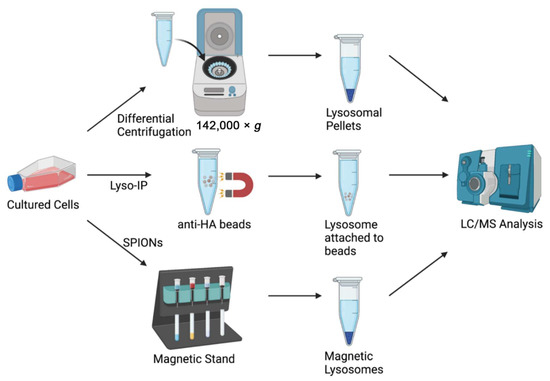 Lyso-IP: Uncovering Pathogenic Mechanisms of Lysosomal Dysfunction