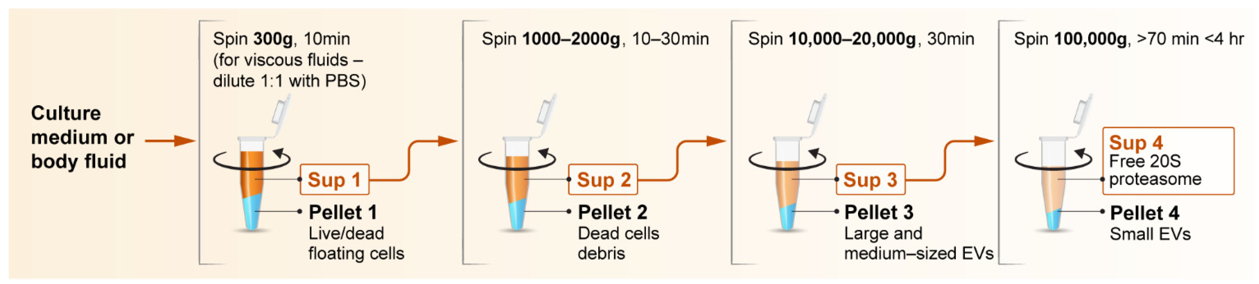Biomolecules 12 00619 g004