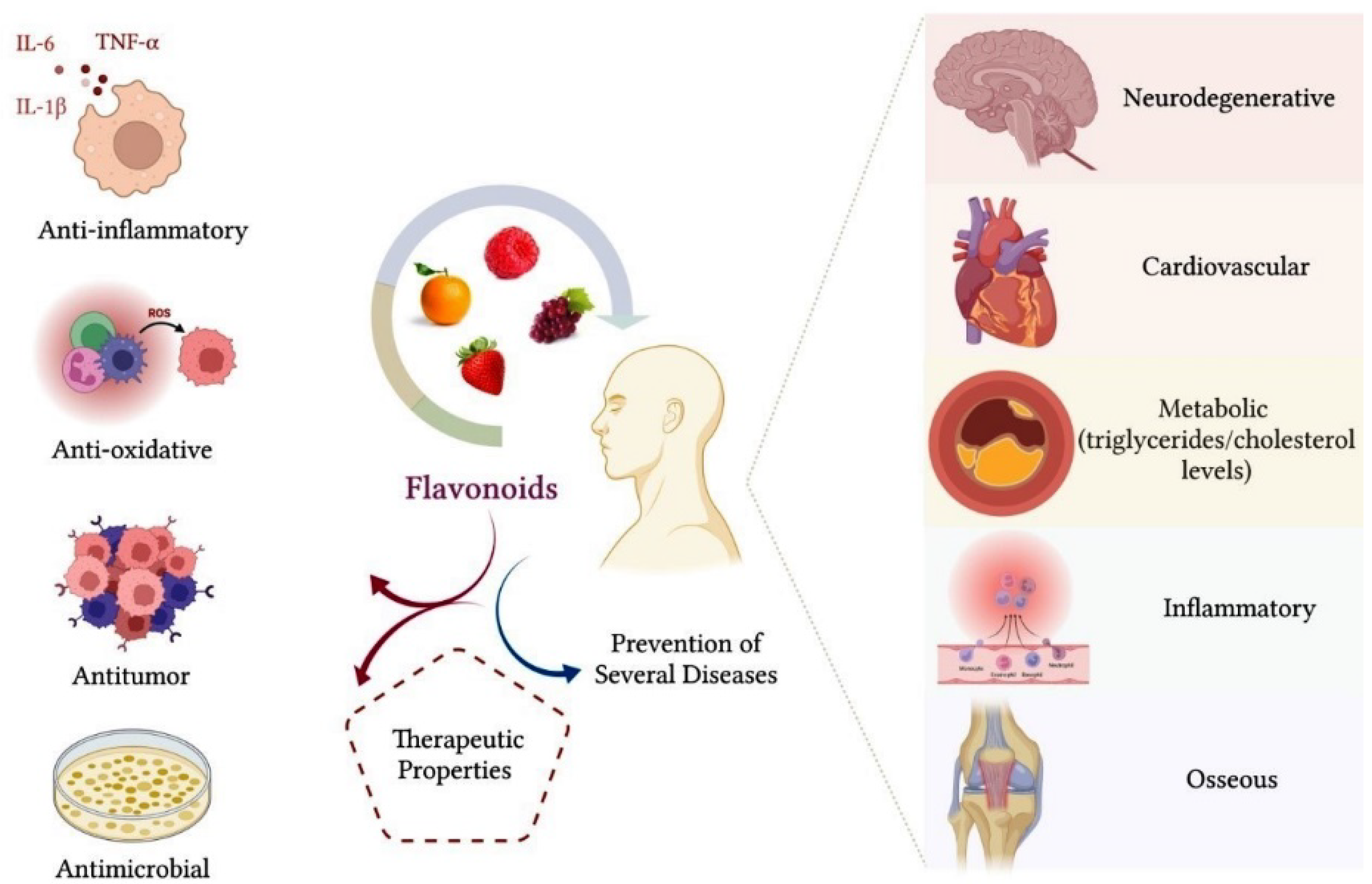 Biomolecules 12 00626 g003