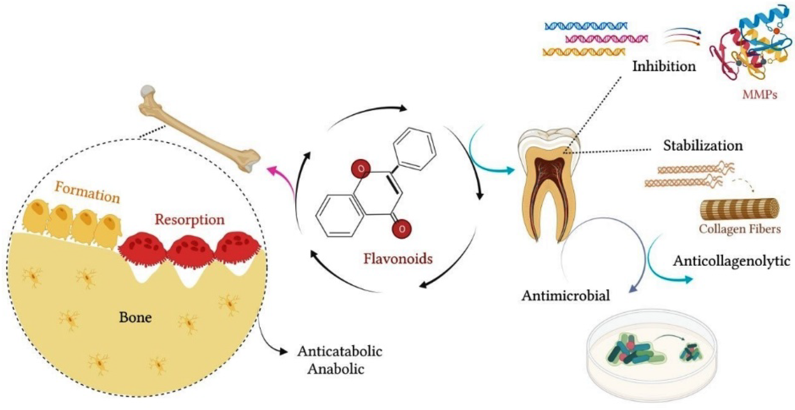 Biomolecules 12 00626 g004