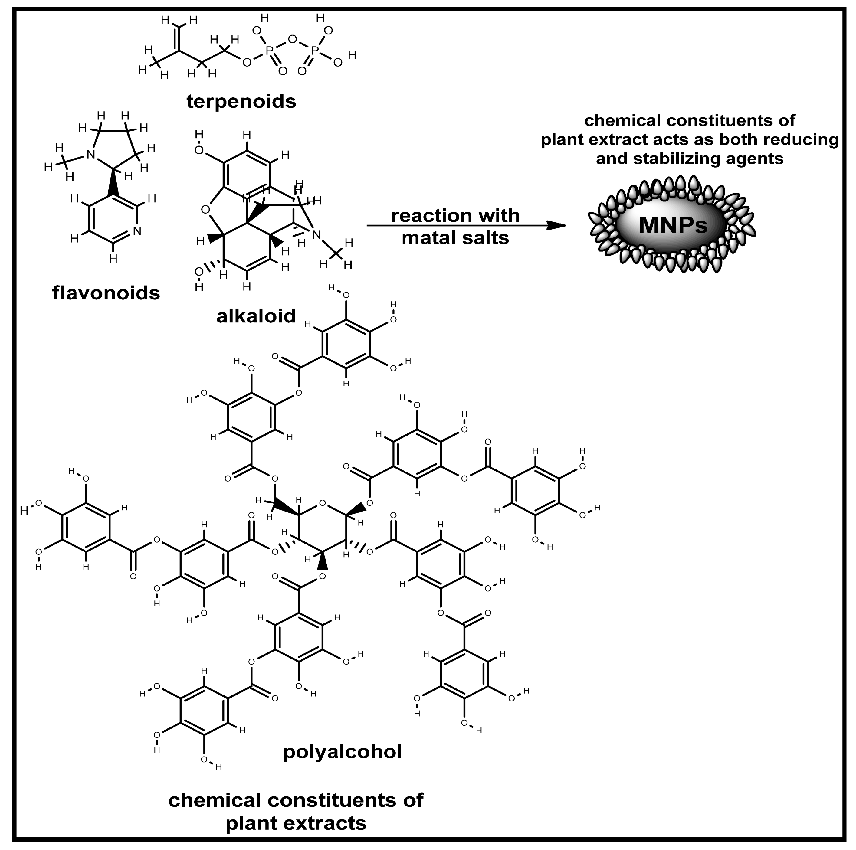 Biomolecules 12 00627 g002
