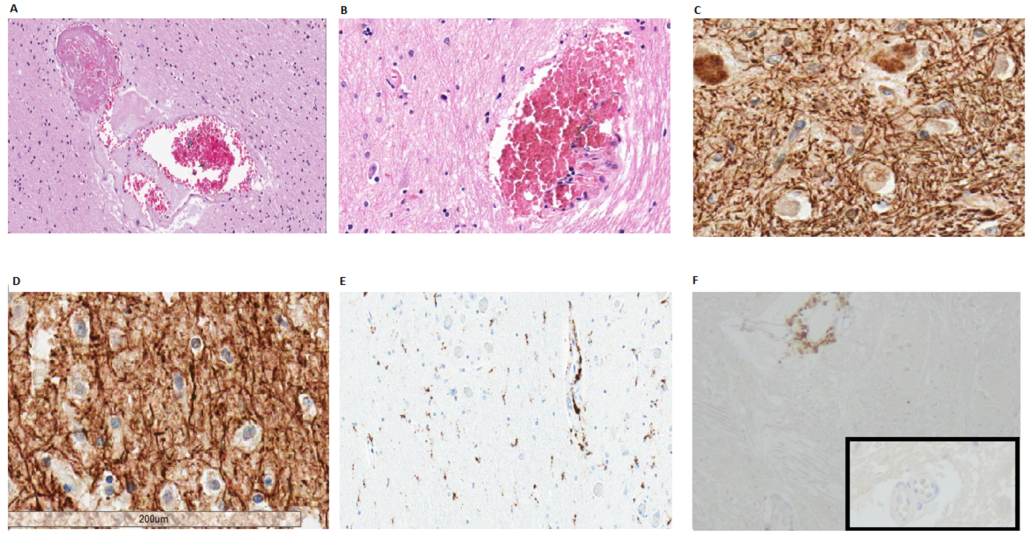 Biomolecules 12 00629 g002 550