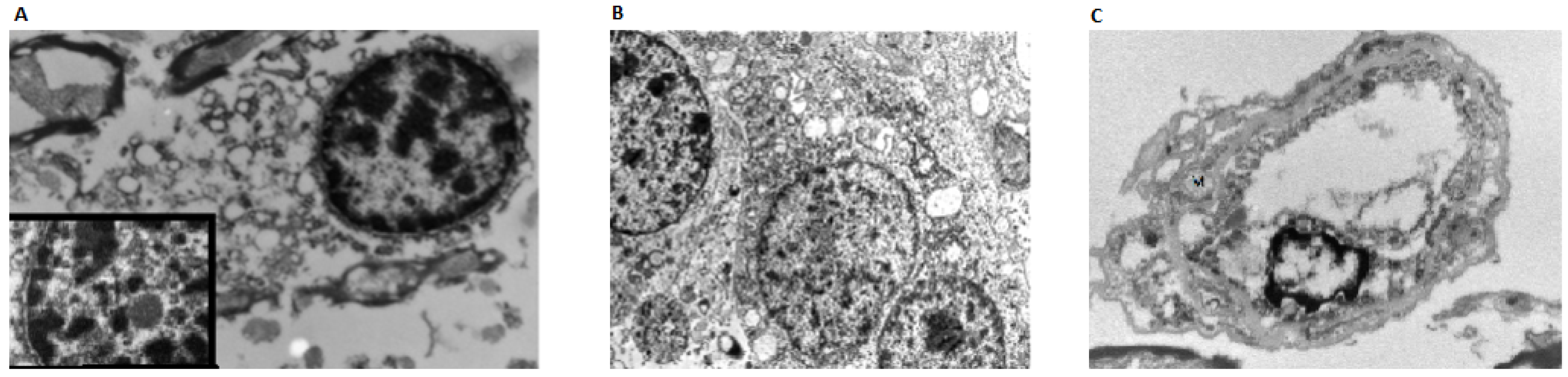 Biomolecules 12 00629 g003 550