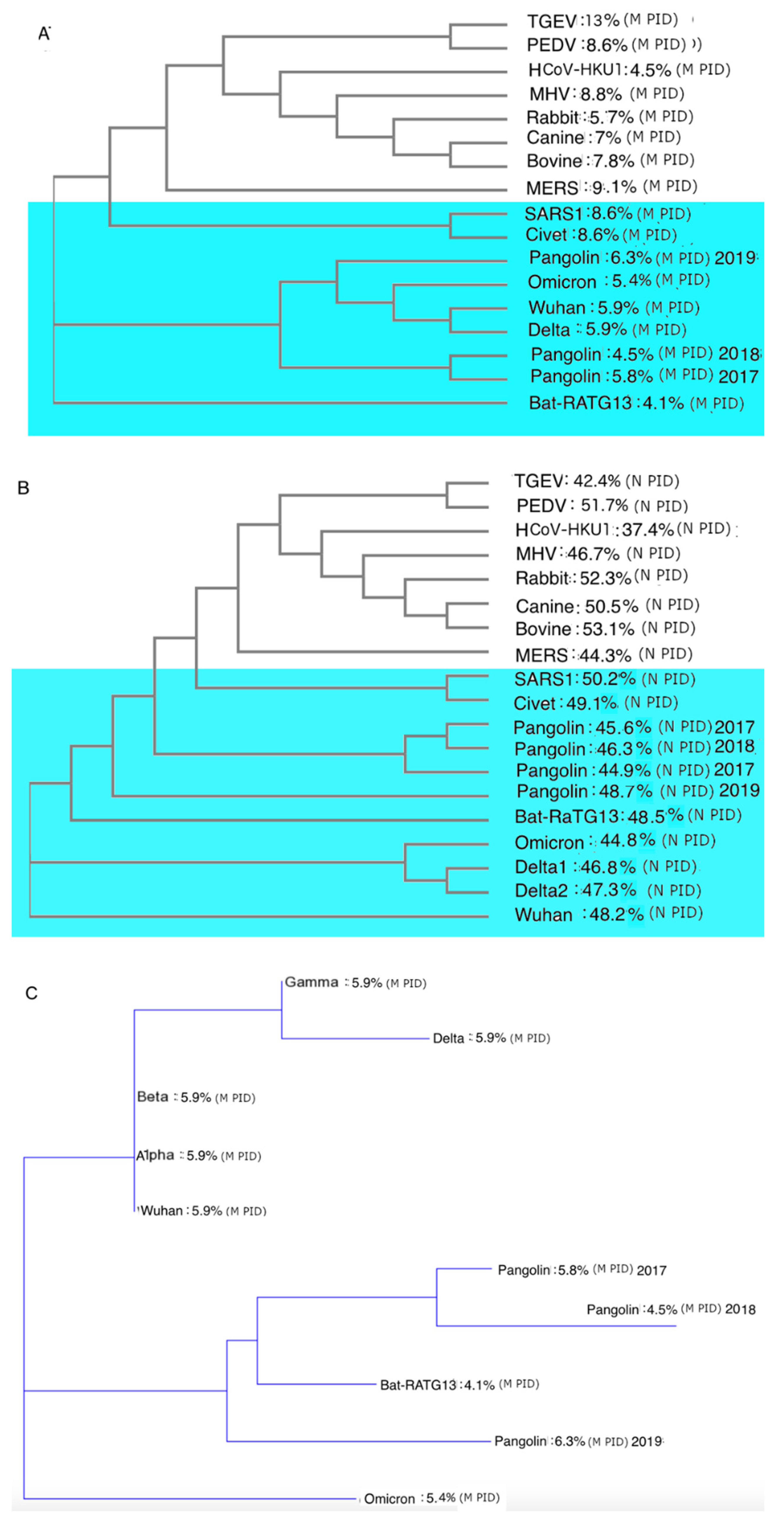 Biomolecules 12 00631 g004