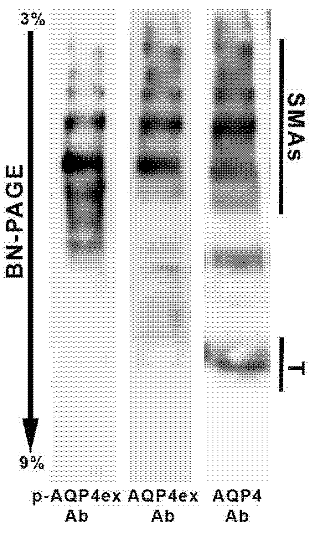 Biomolecules 12 00633 g004 550