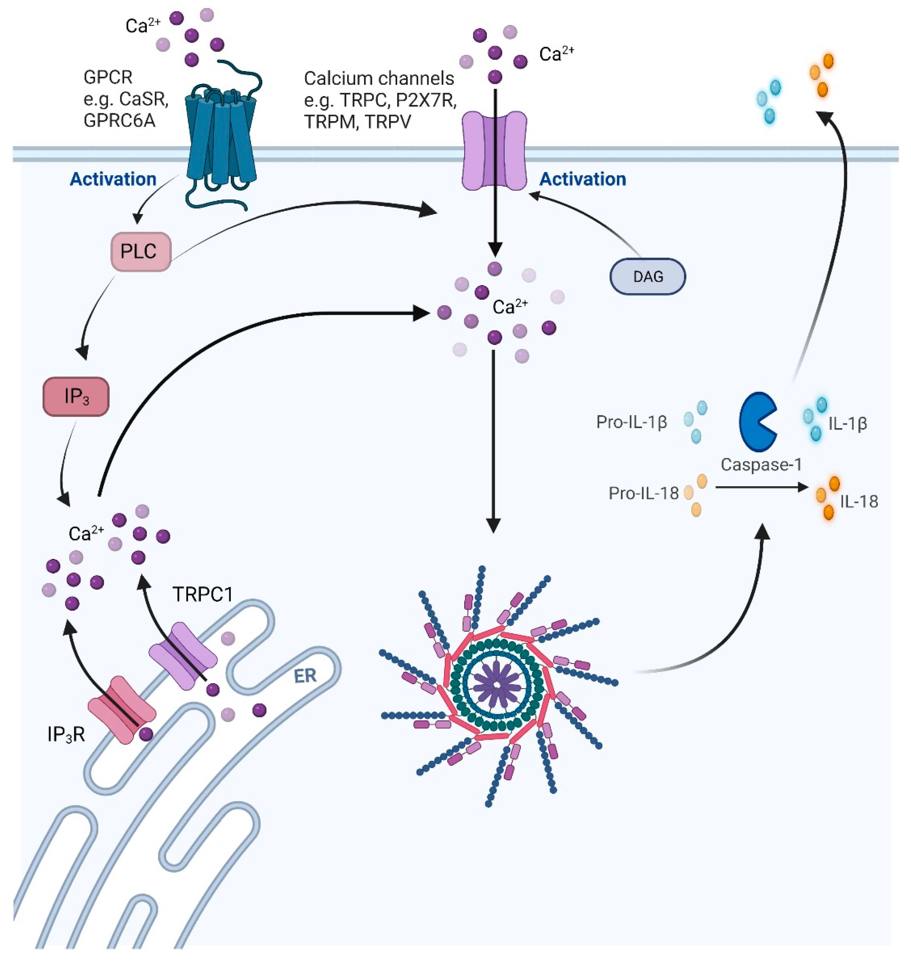 Biomolecules 12 00634 g002
