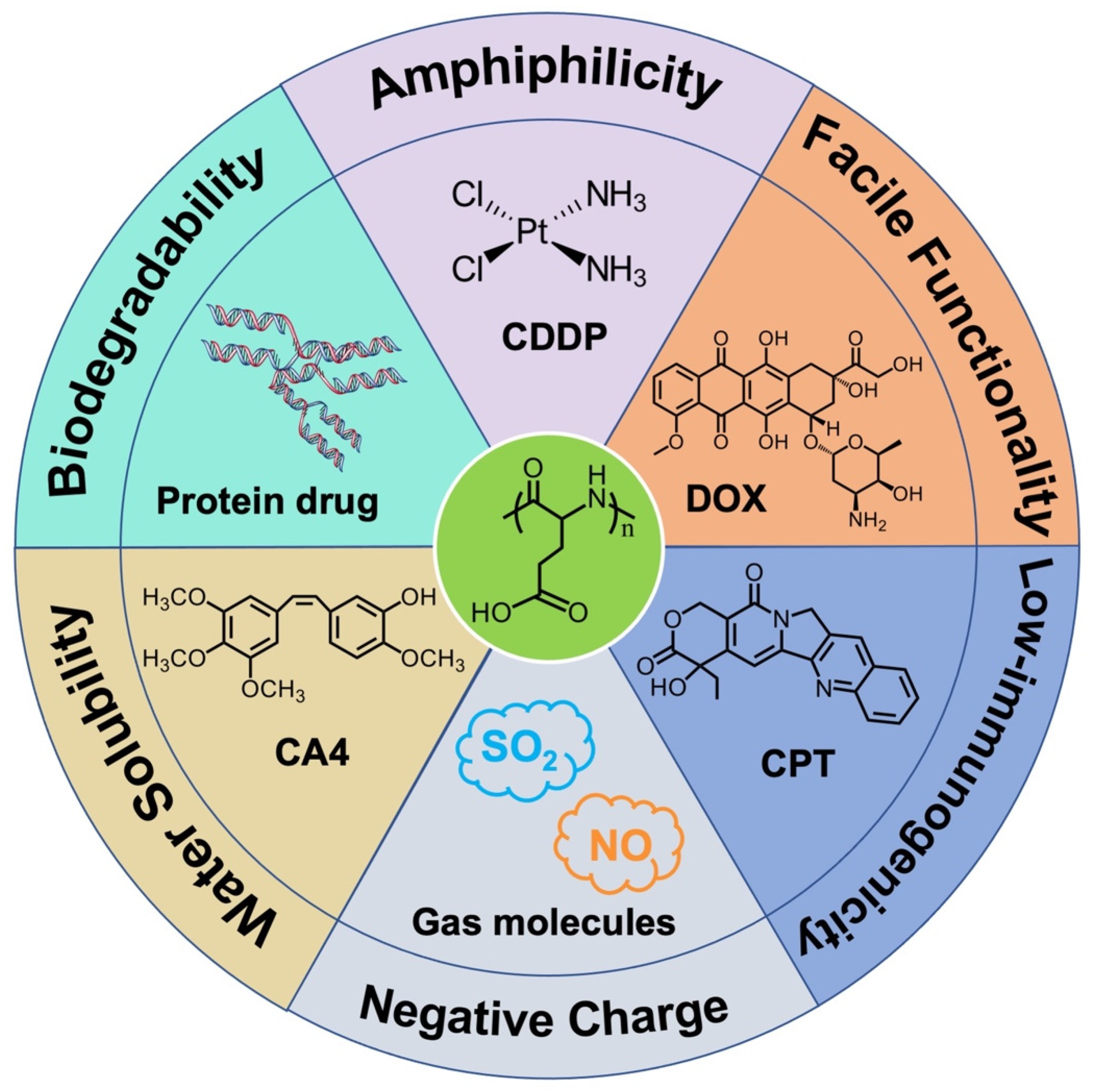 Recent Advances in Poly(α-L-glutamic acid)-Based