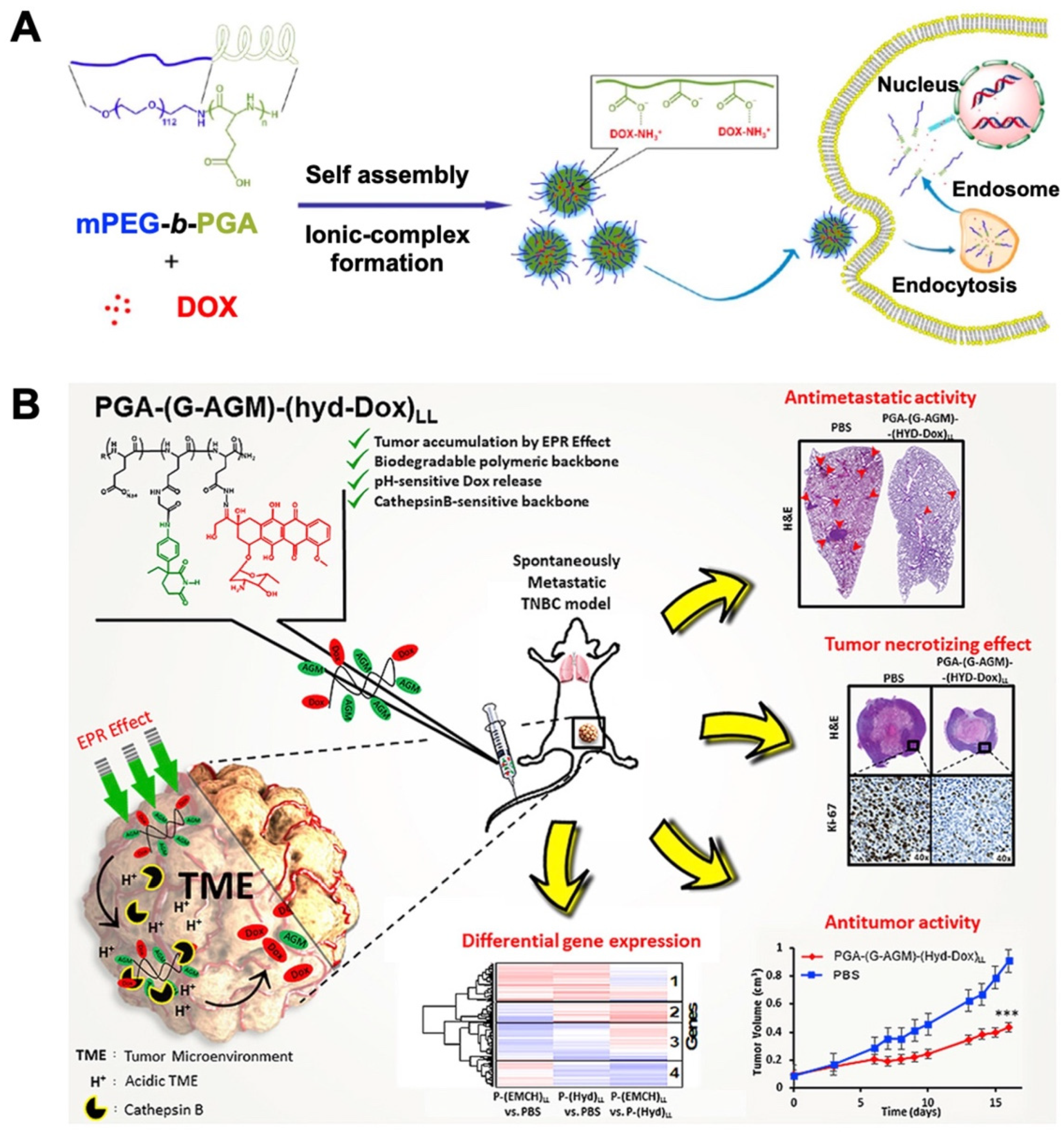 Biomolecules 12 00636 g002 Biomolecules 12 00636 g002