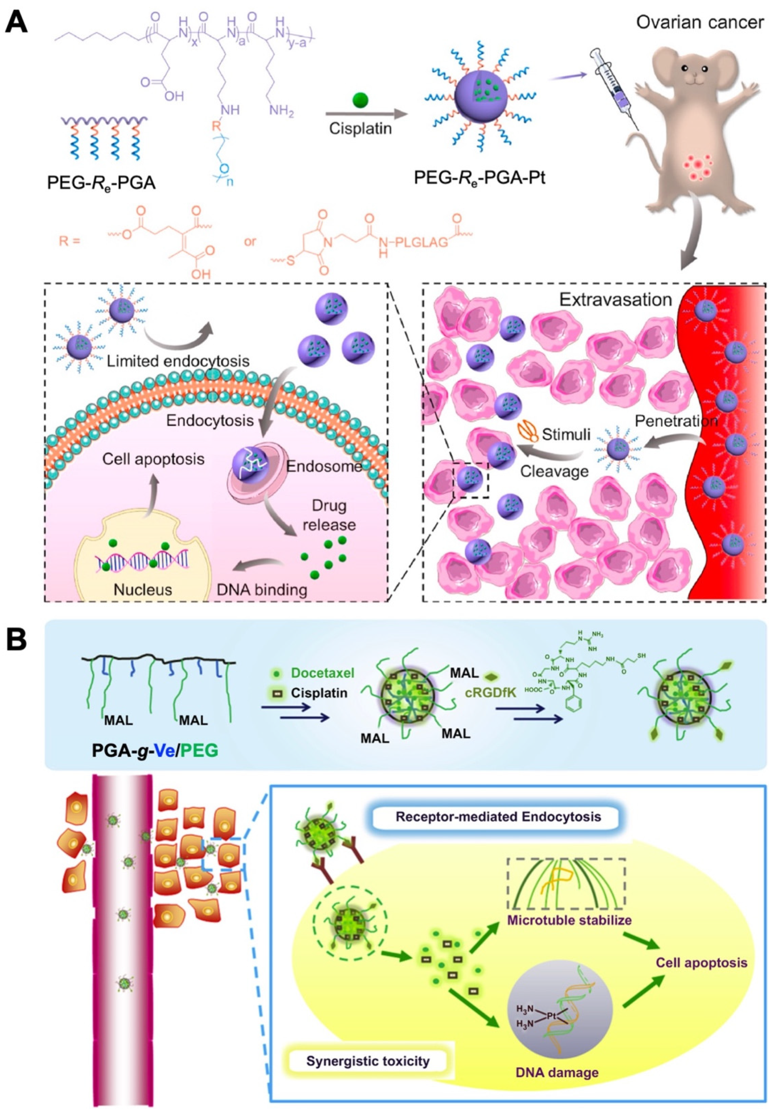 Biomolecules 12 00636 g003 Biomolecules 12 00636 g003