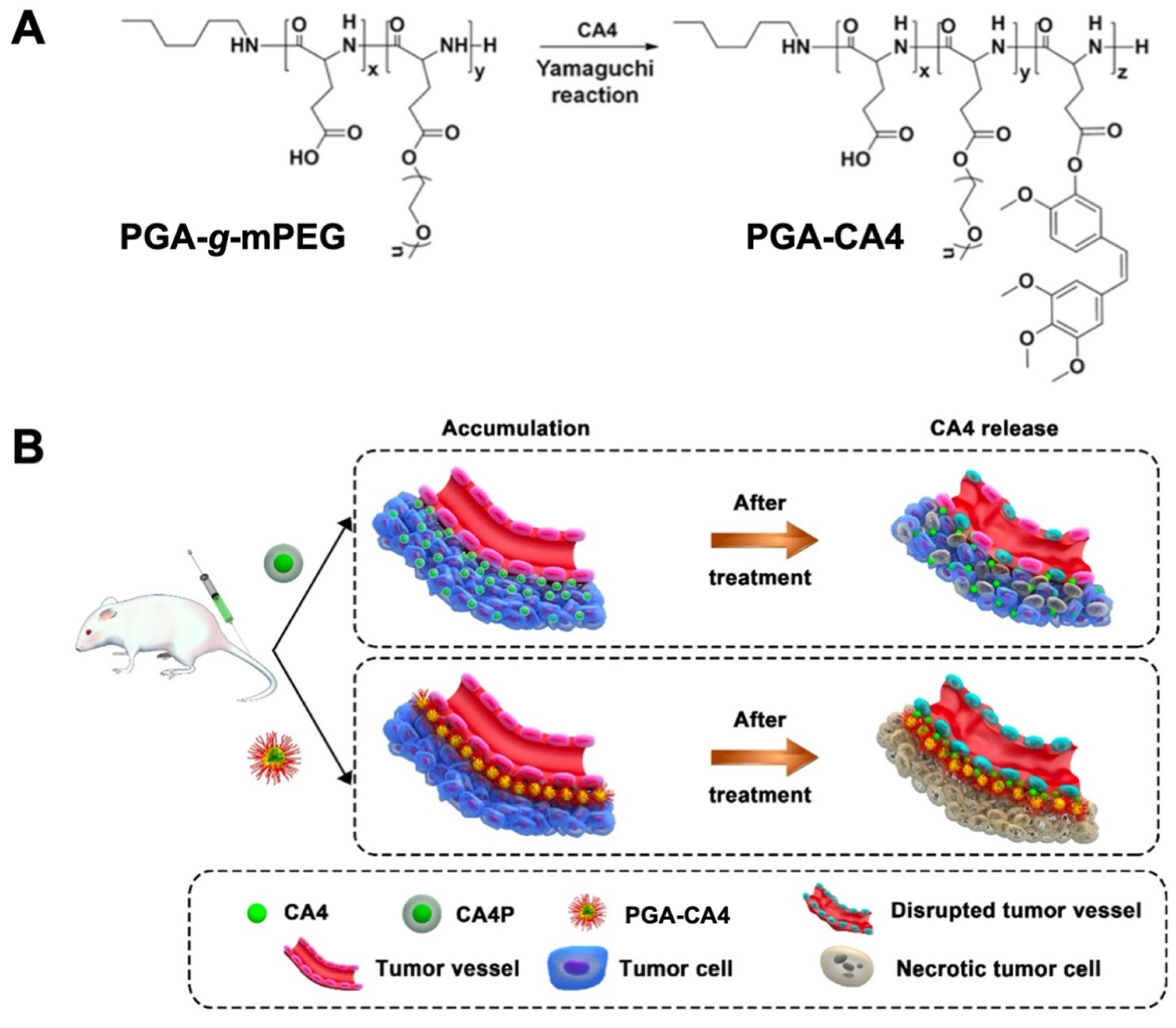 Biomolecules 12 00636 g005 Biomolecules 12 00636 g005