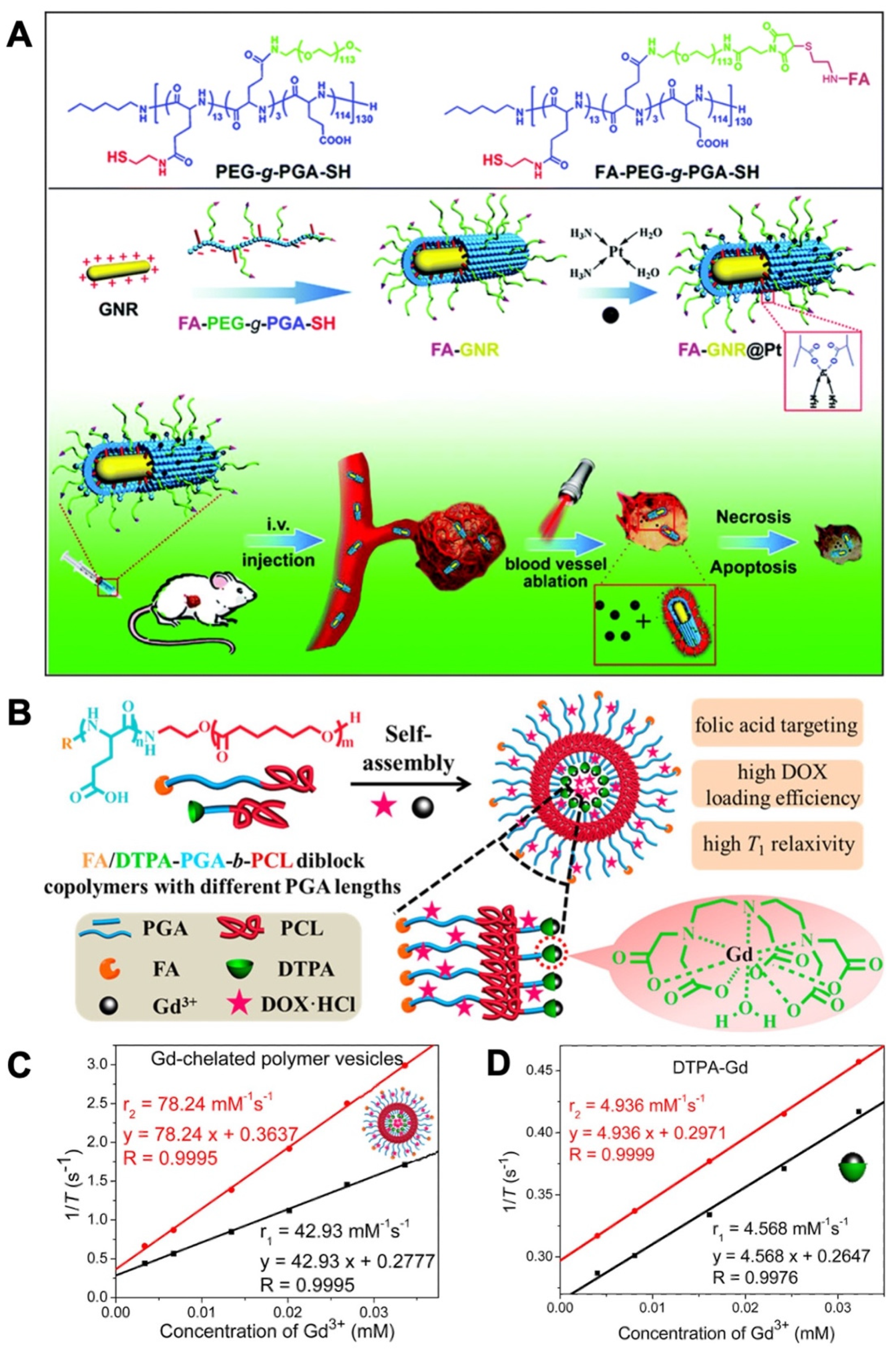 Biomolecules 12 00636 g007 Biomolecules 12 00636 g007