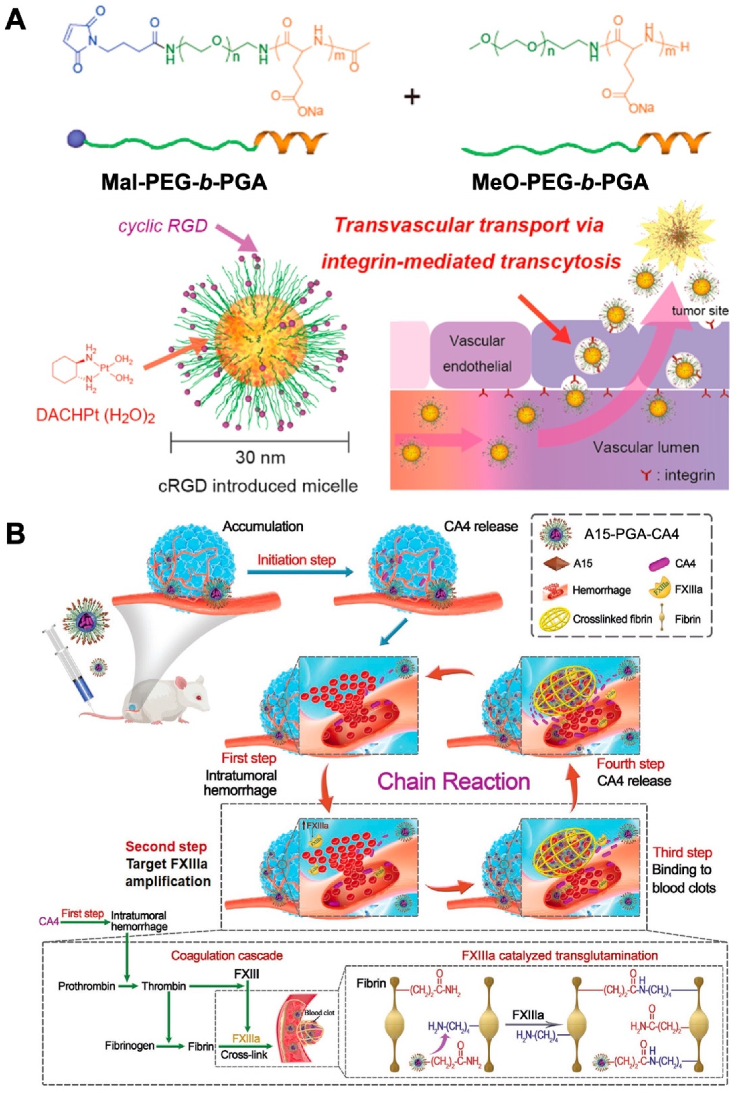 Biomolecules 12 00636 g008 Biomolecules 12 00636 g008