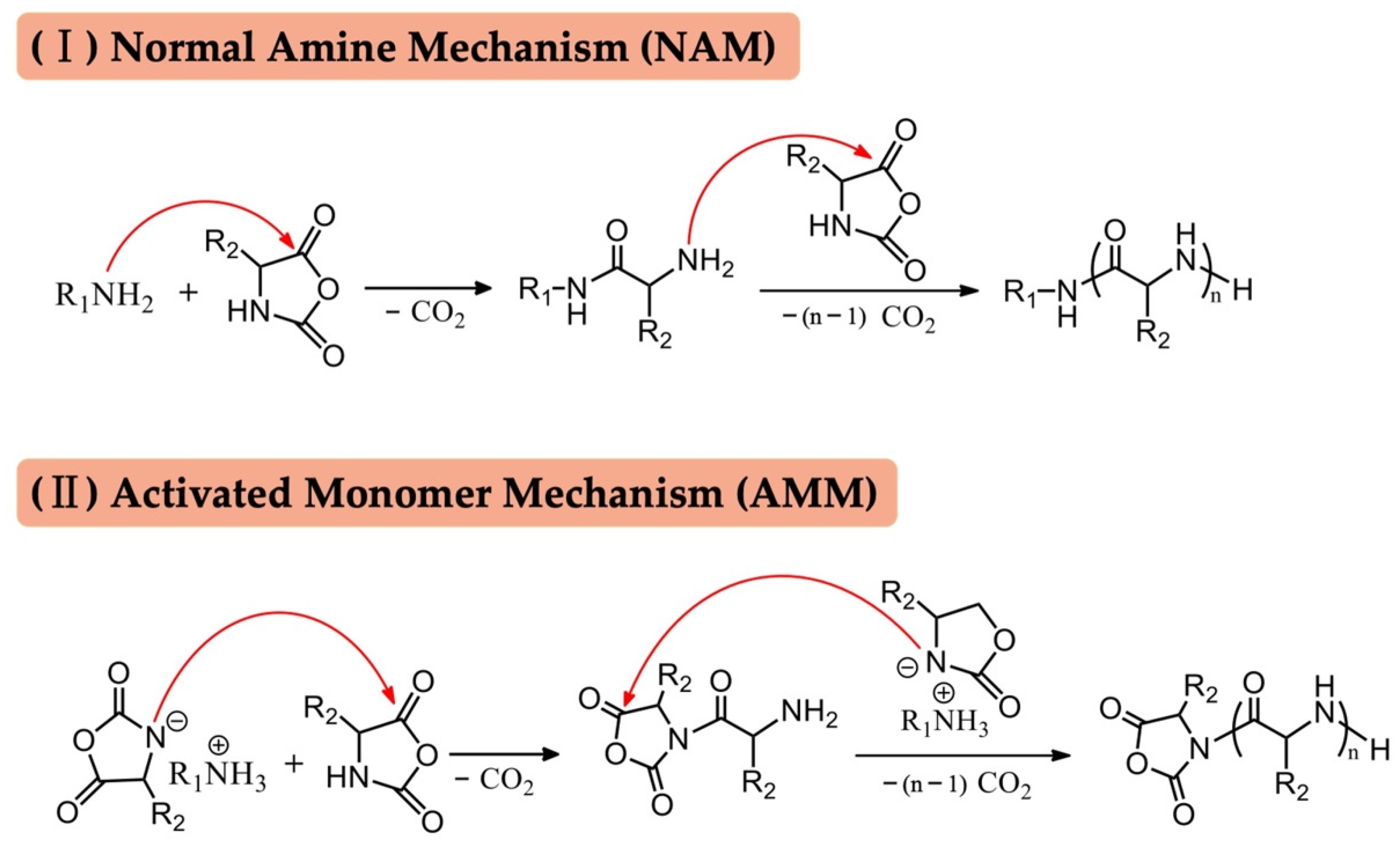 Biomolecules 12 00636 sch001 Biomolecules 12 00636 sch001