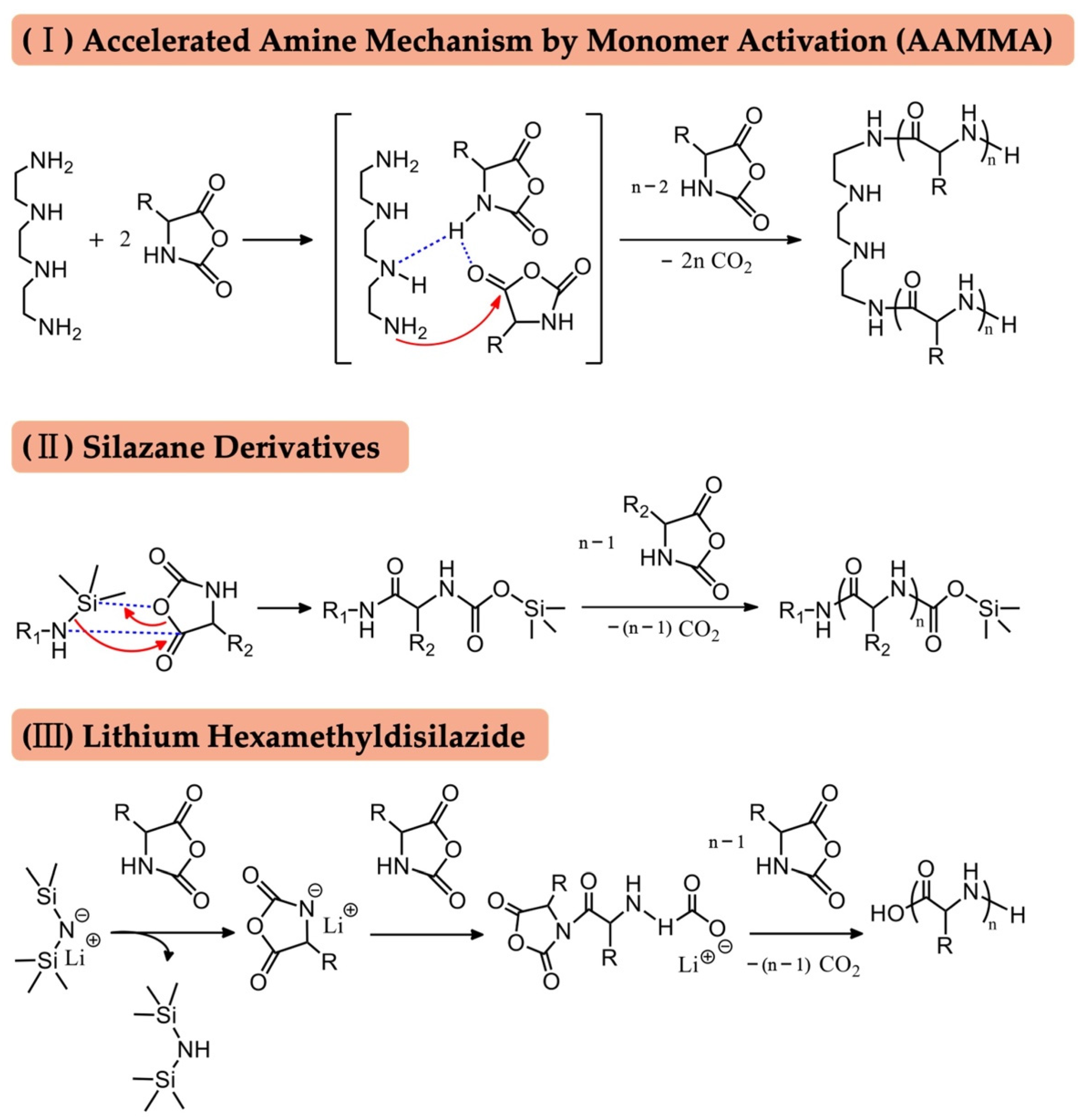 Biomolecules 12 00636 sch003 Biomolecules 12 00636 sch003