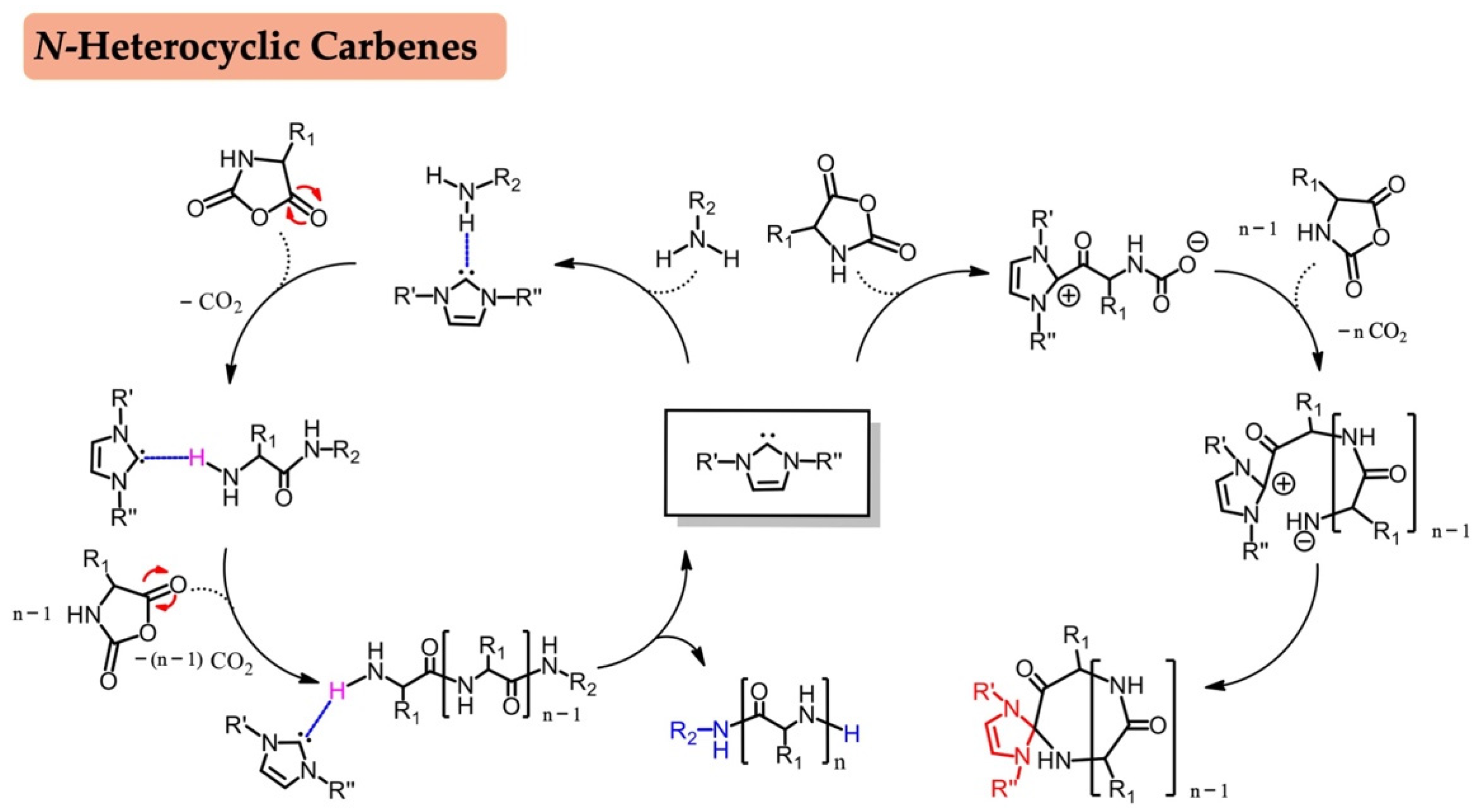 Biomolecules 12 00636 sch004 Biomolecules 12 00636 sch004