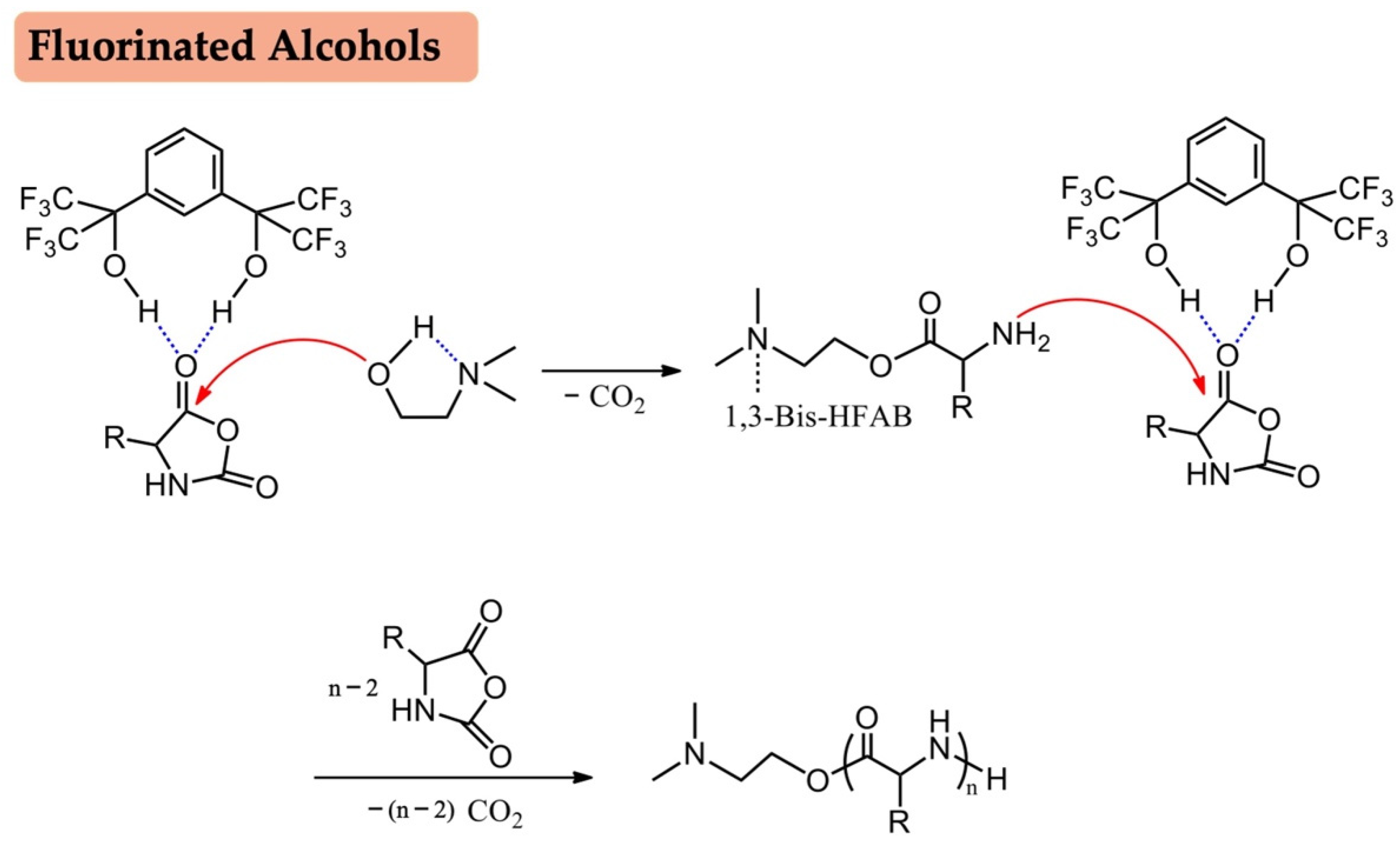 Biomolecules 12 00636 sch005 Biomolecules 12 00636 sch005