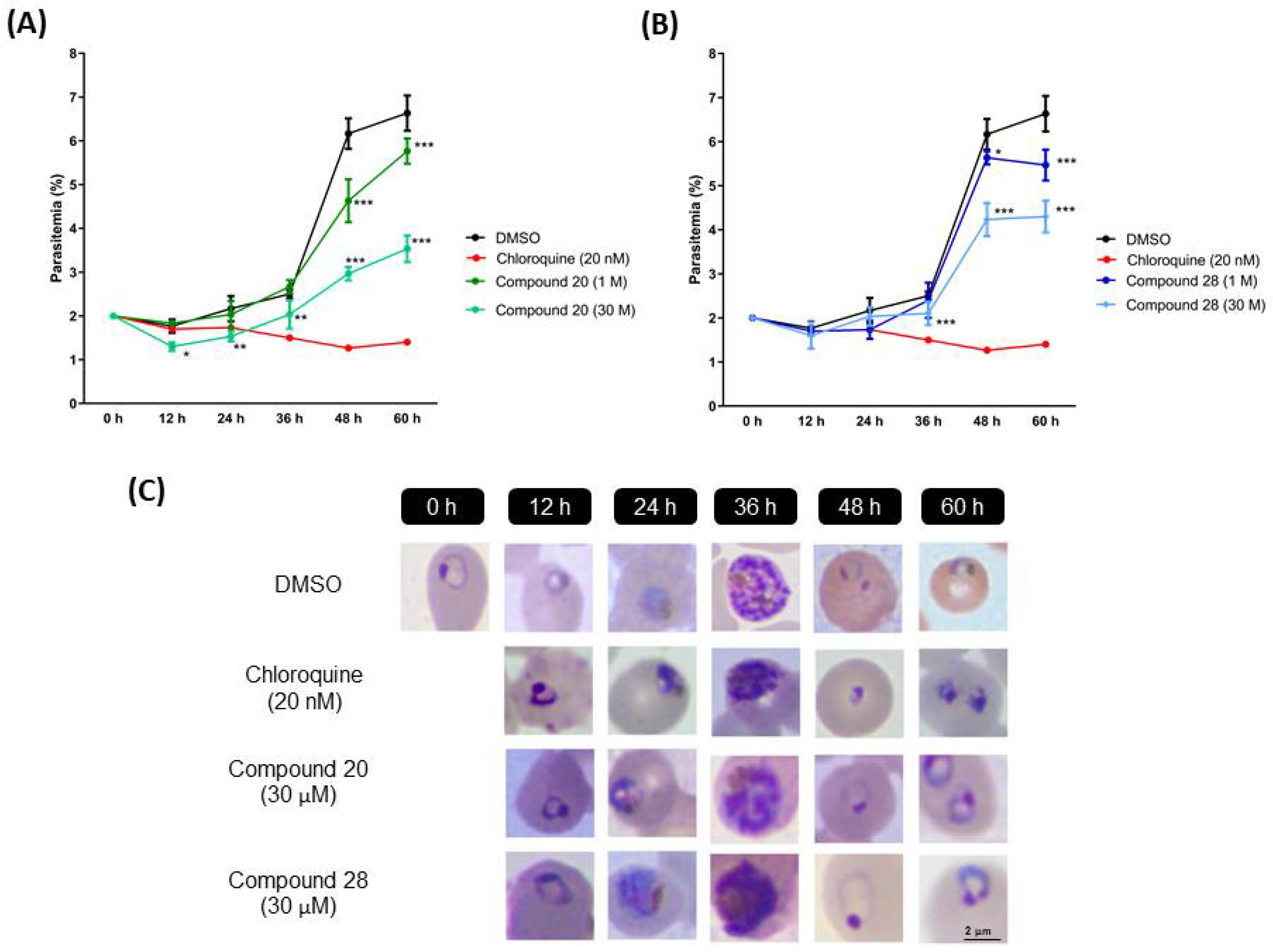 Biomolecules 12 00638 g005 Biomolecules 12 00638 g005