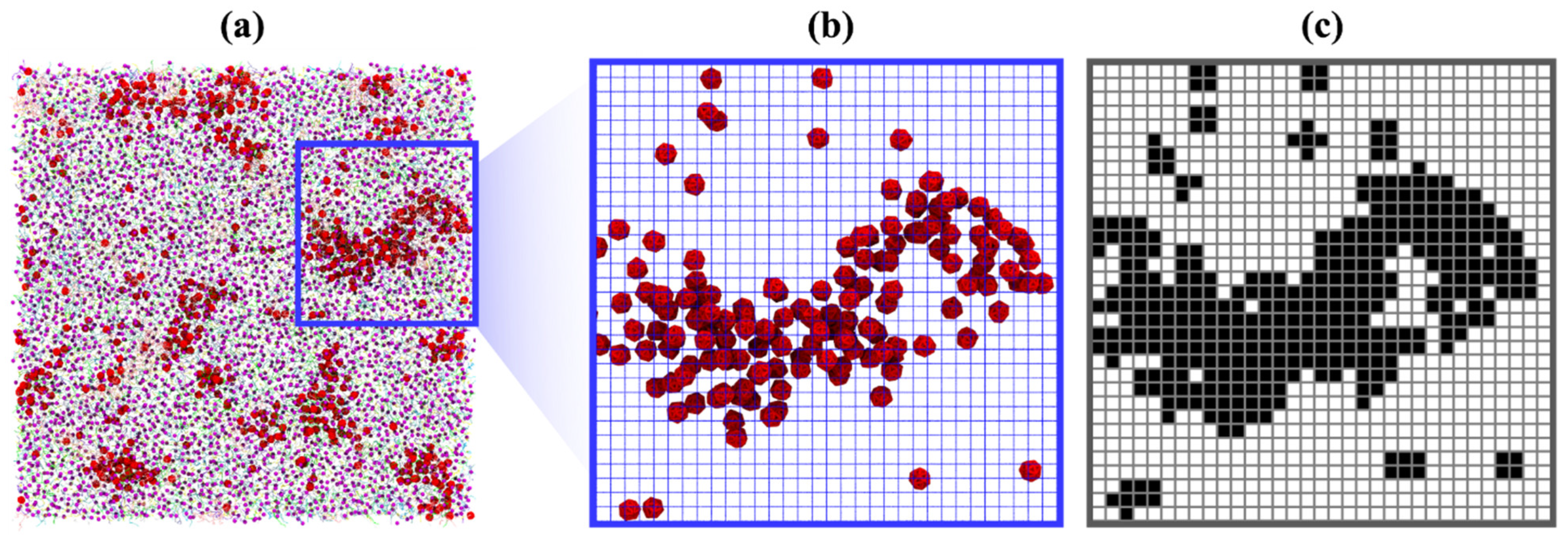 Biomolecules 12 00639 g003