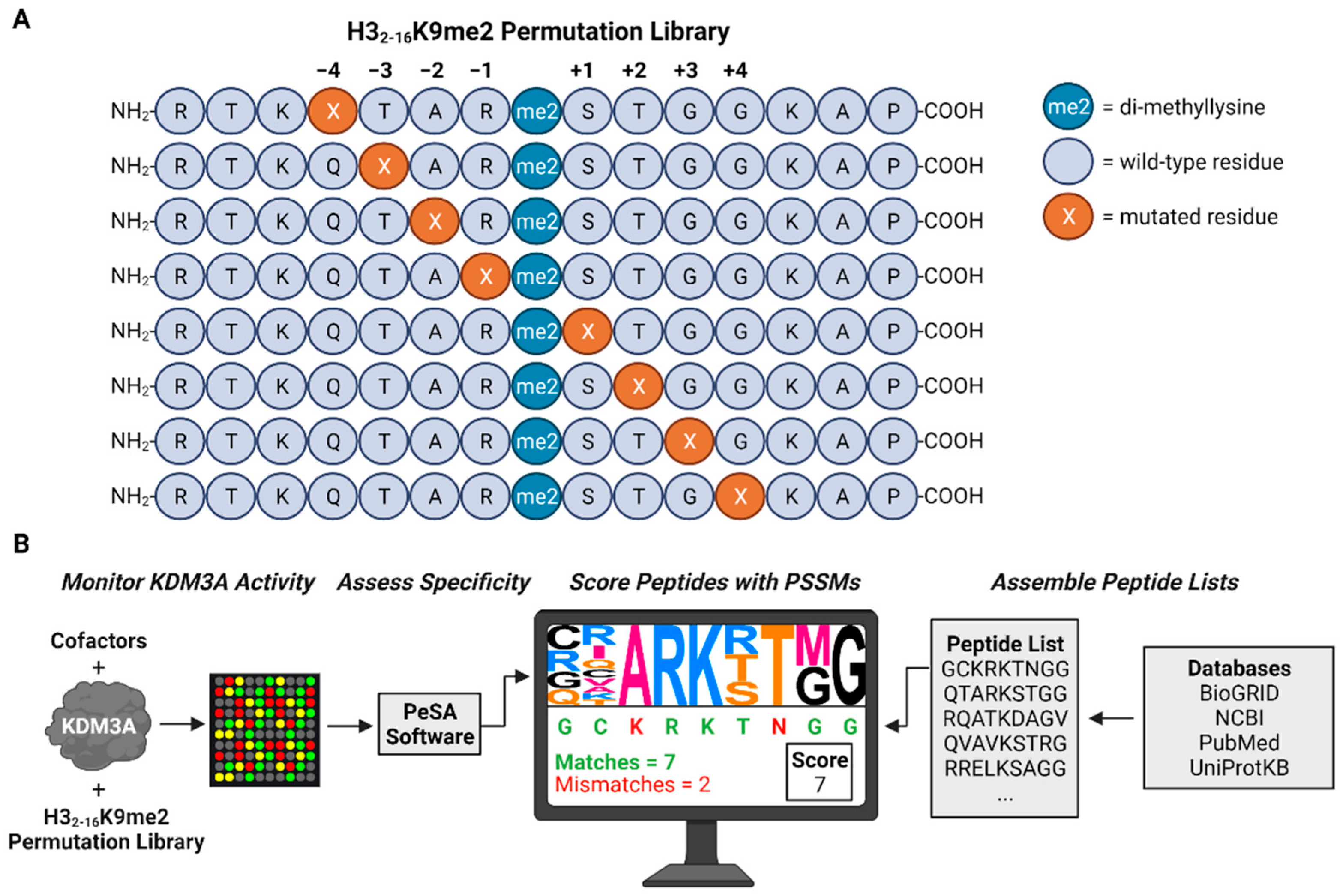 Biomolecules 12 00641 g001