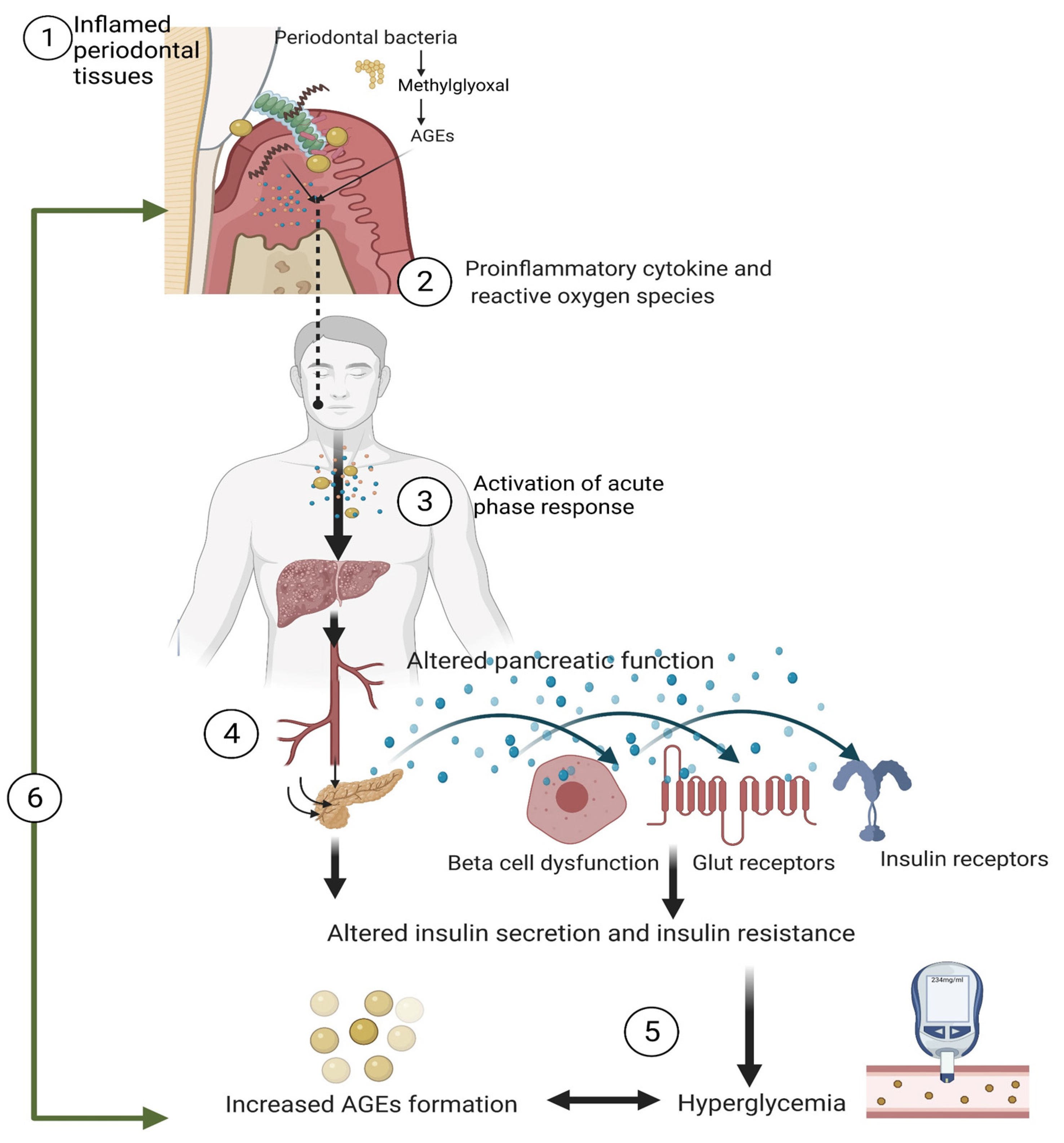 Biomolecules 12 00642 g001 550