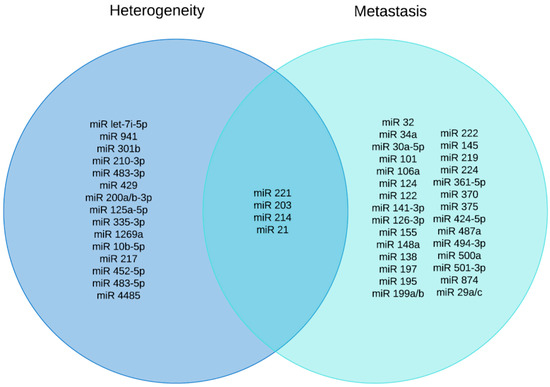 Hepatocellular Carcinoma: The Role of MicroRNAs