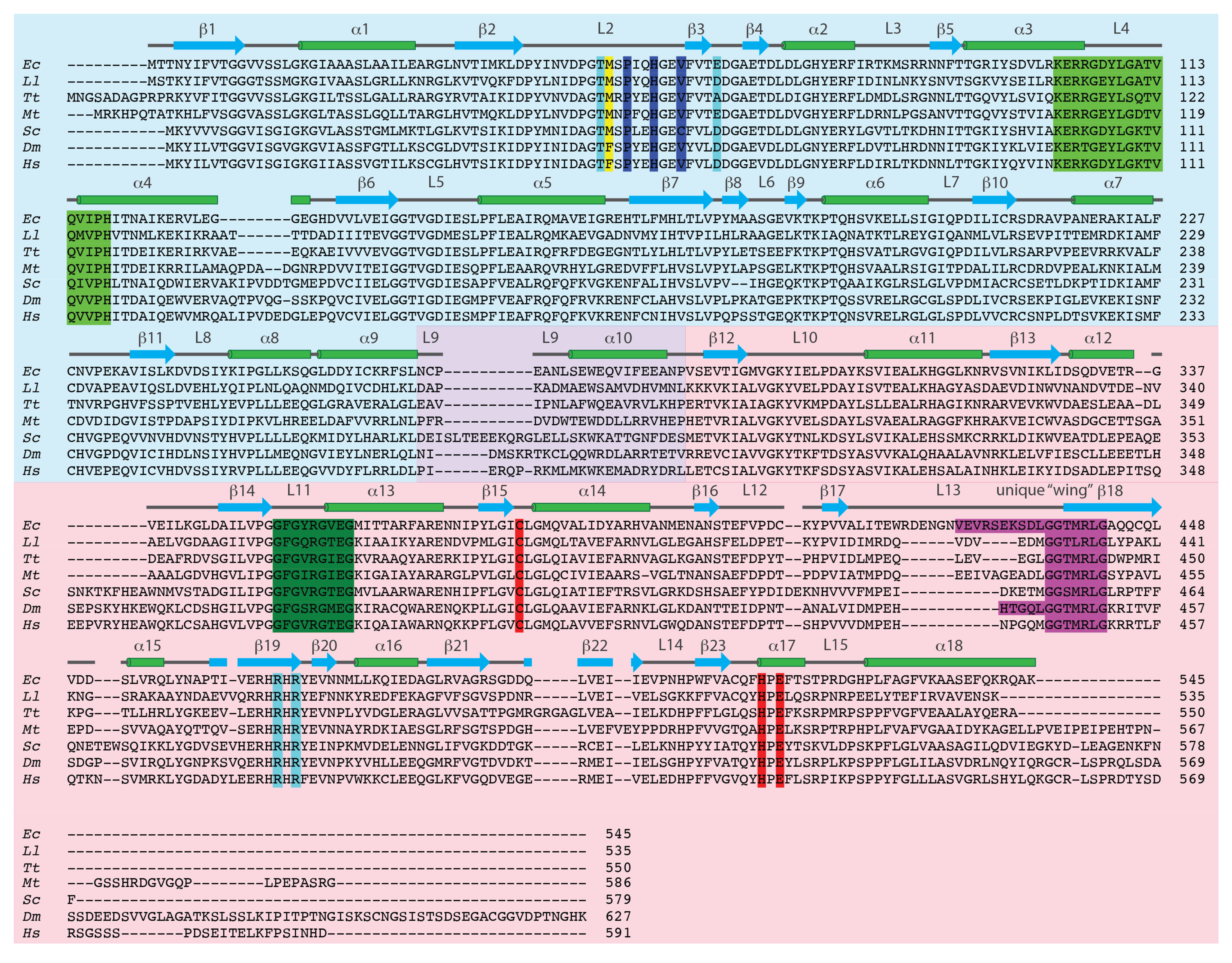 Biomolecules 12 00647 g002 550