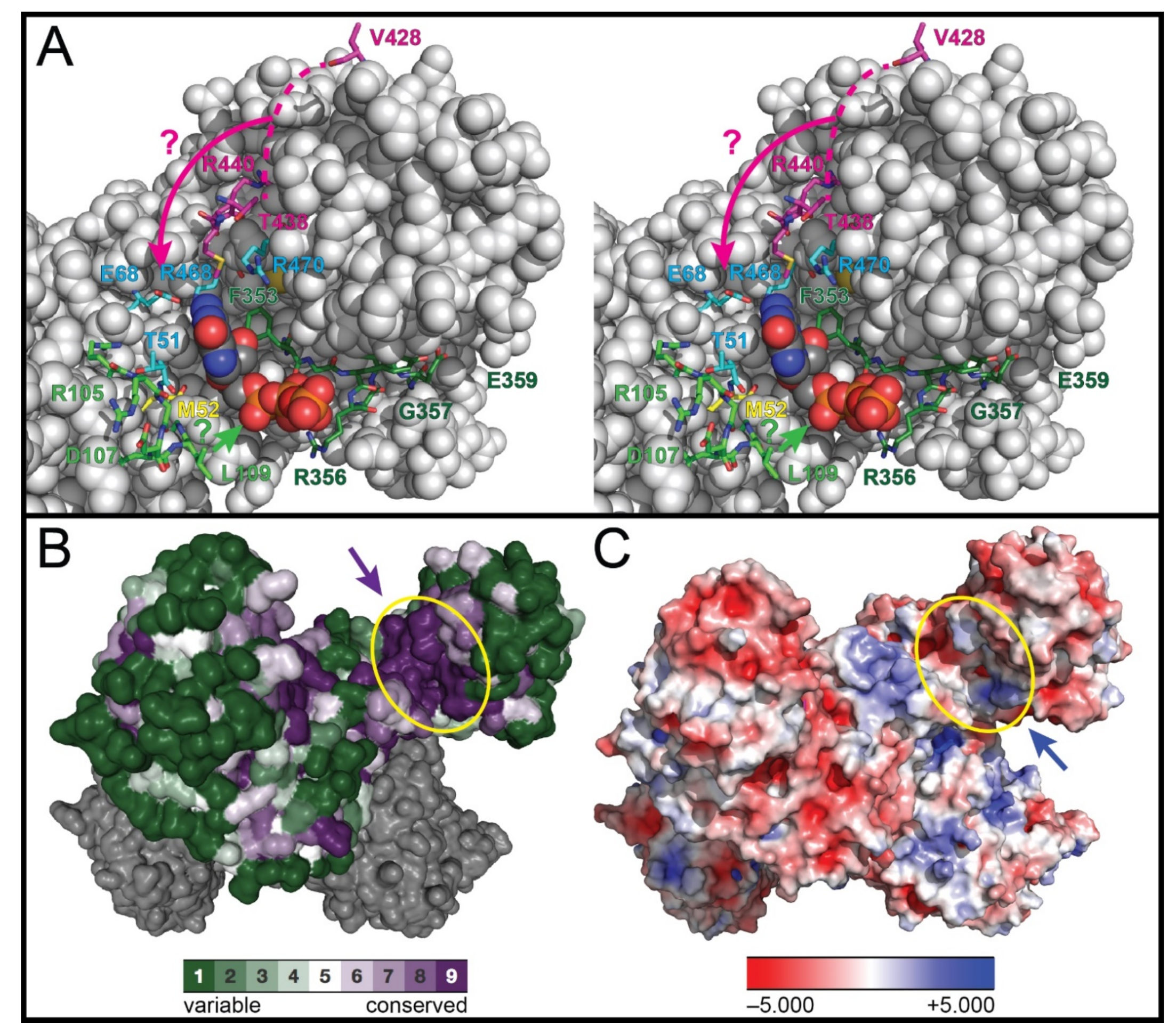 Biomolecules 12 00647 g003 550