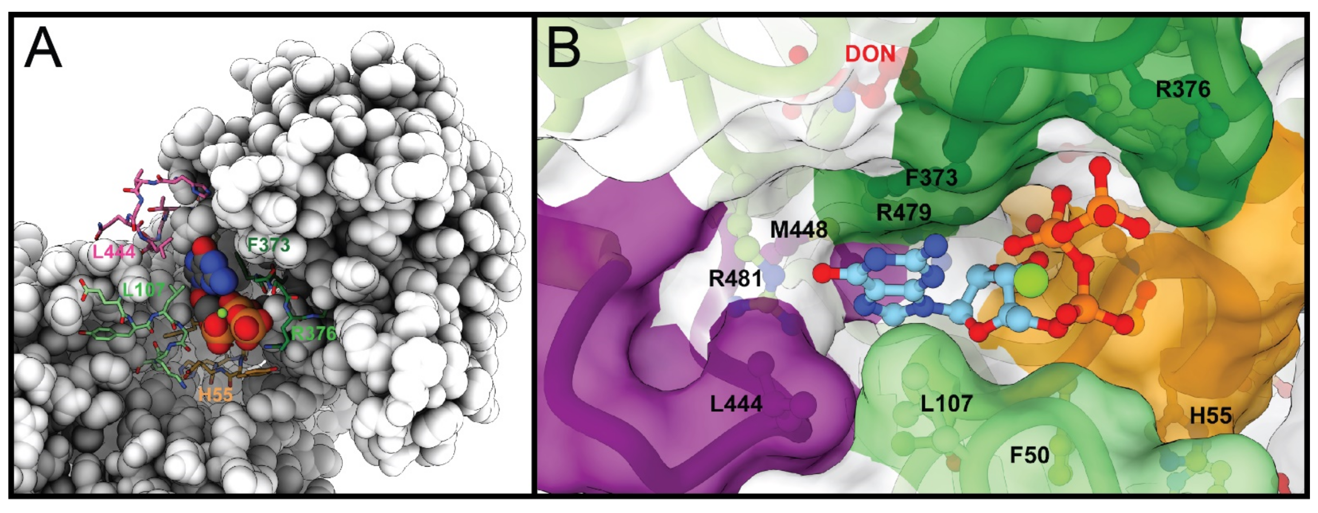 Biomolecules 12 00647 g007 550