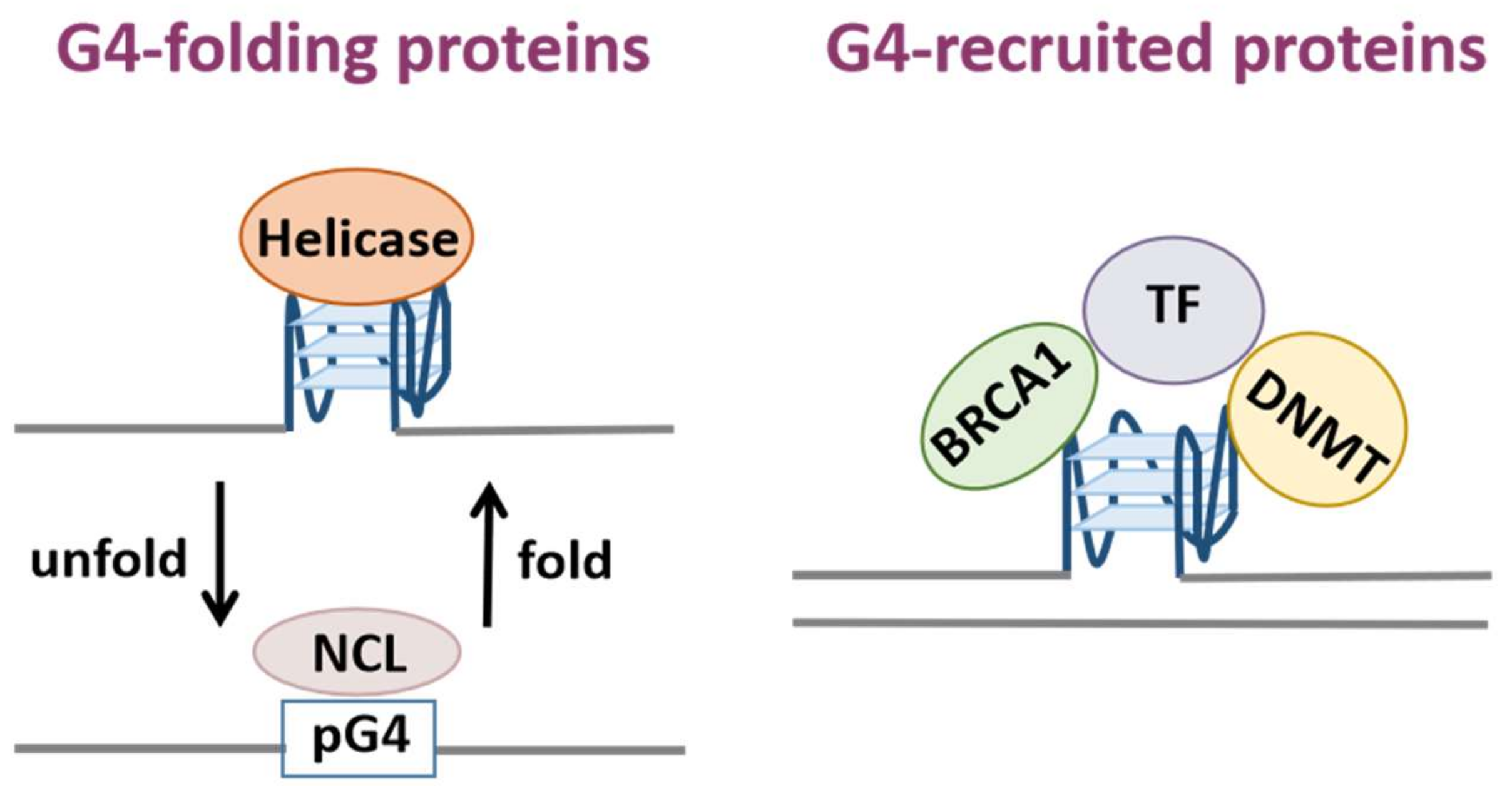 Biomolecules 12 00648 g001 550