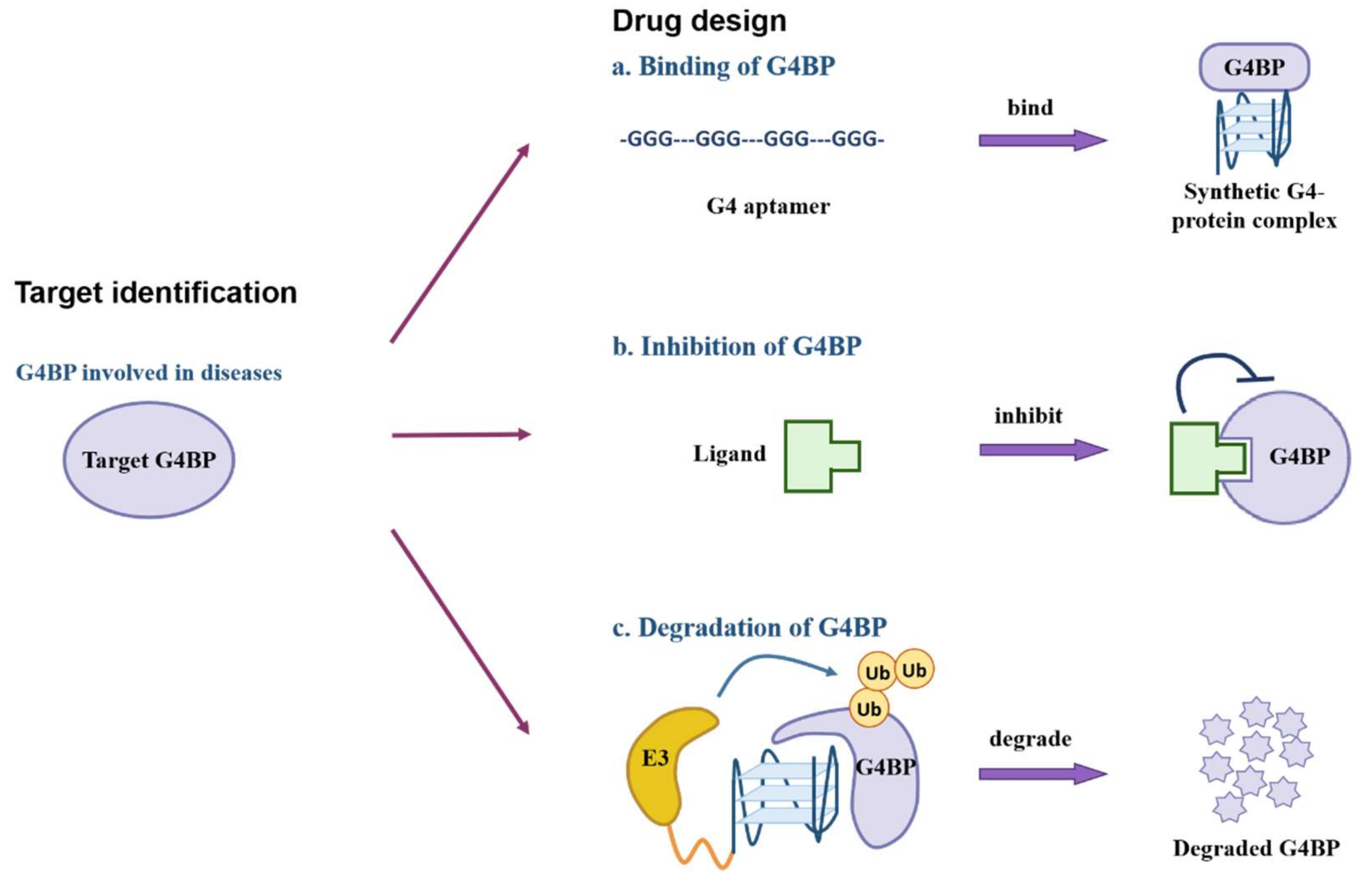 G-Quadruplex-Binding Proteins: Promising Targets for Drug Design