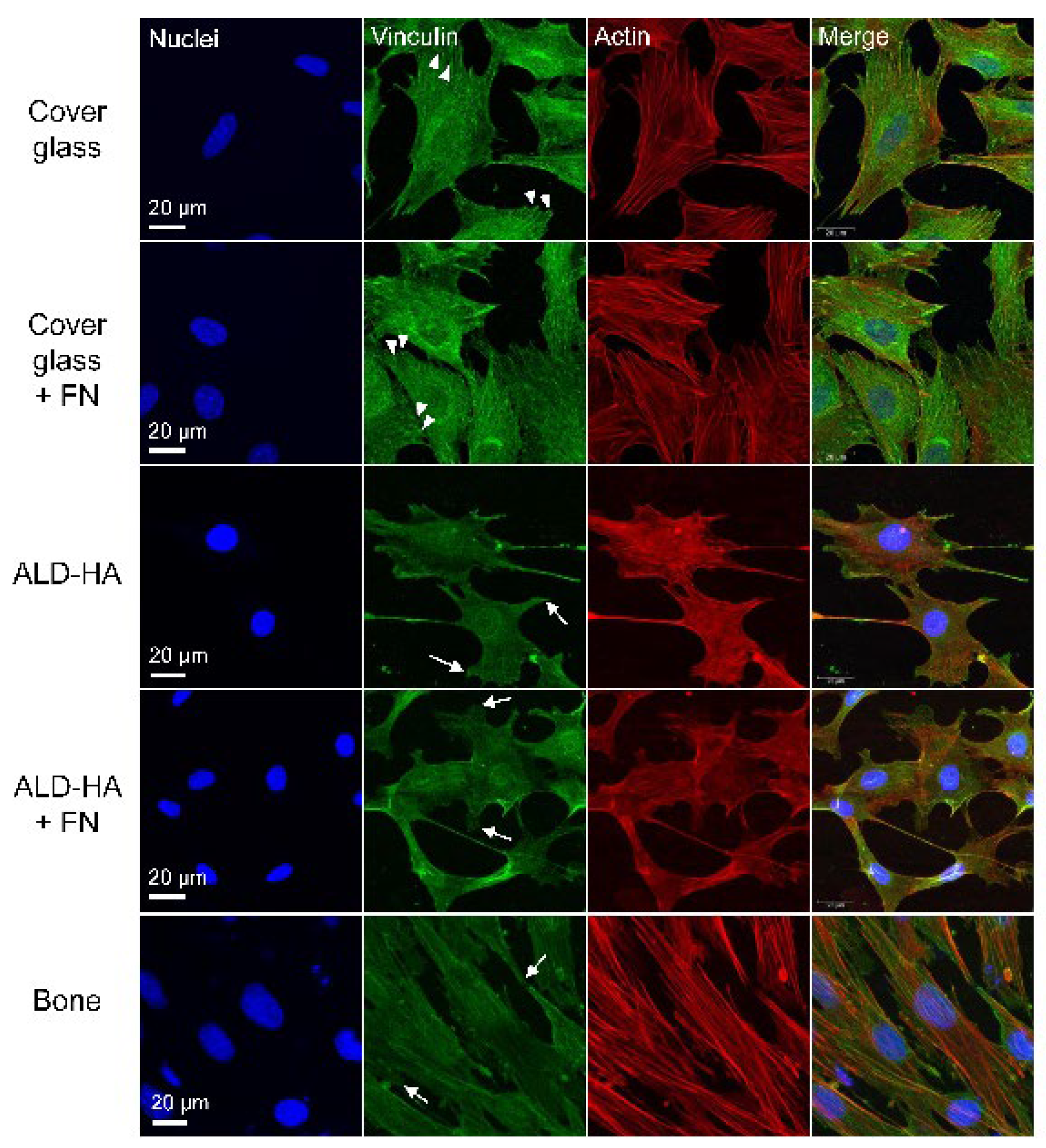 Biomolecules 12 00654 g002 Biomolecules 12 00654 g002
