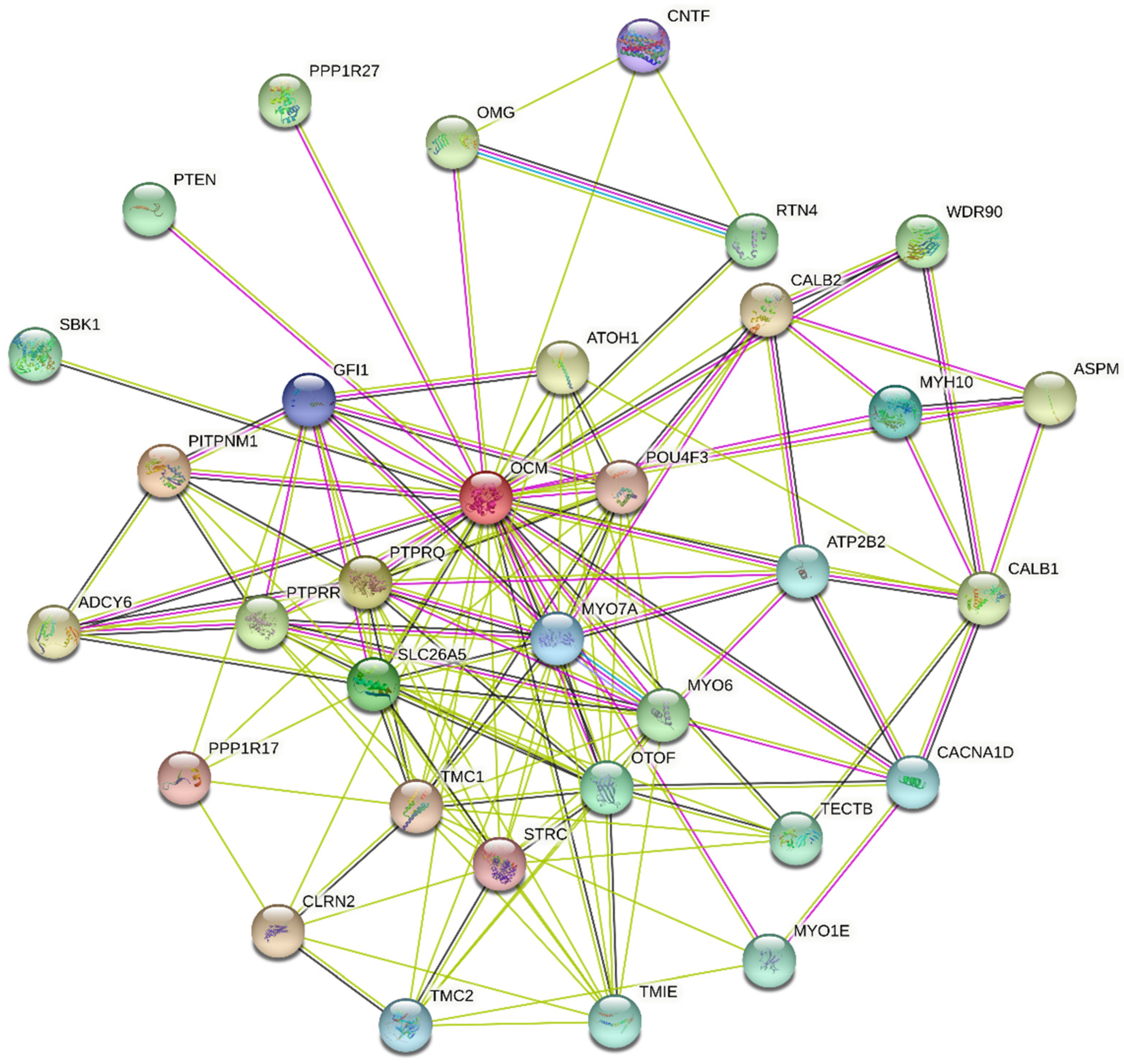 Biomolecules 12 00656 g005