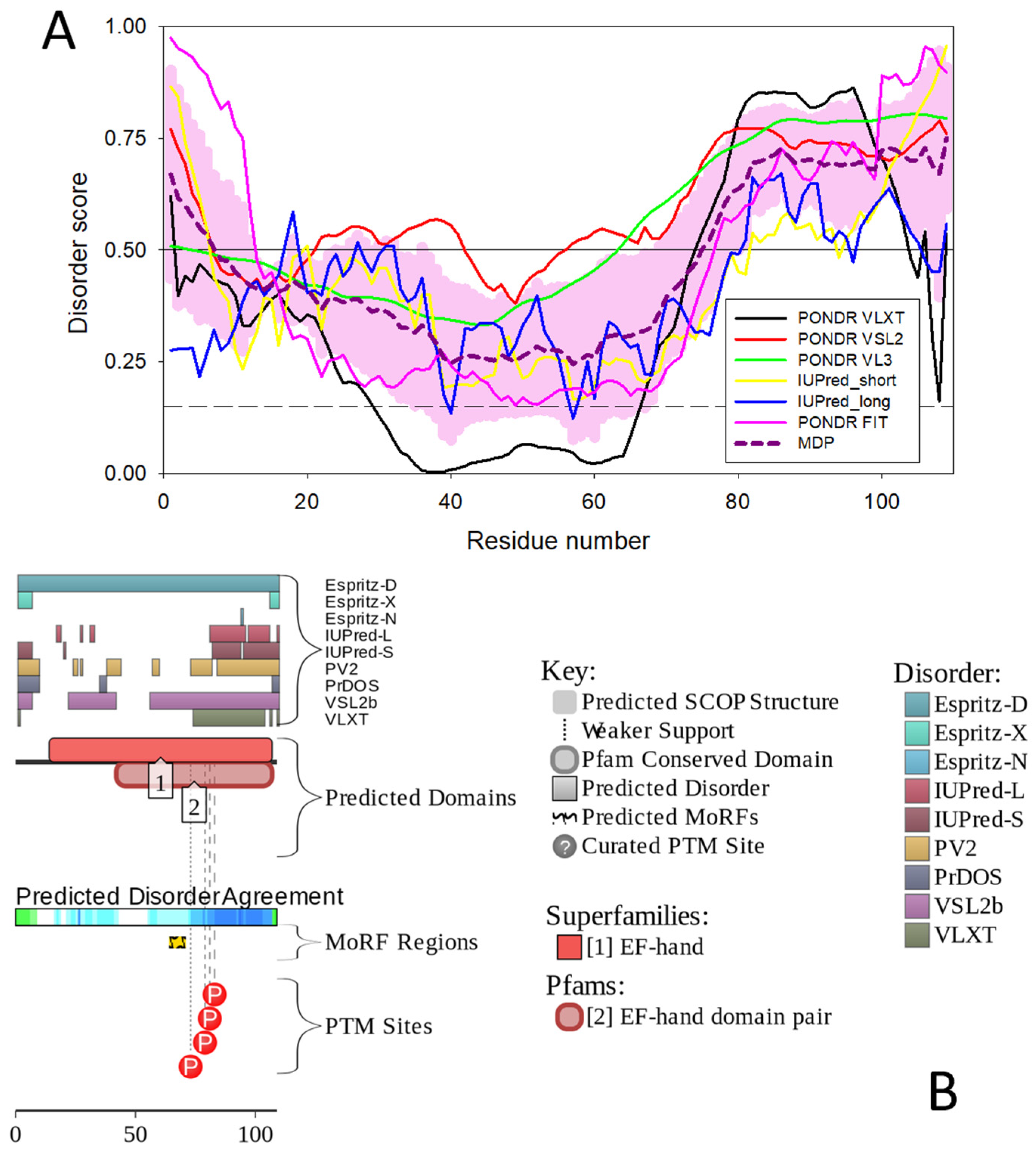 Biomolecules 12 00656 g006