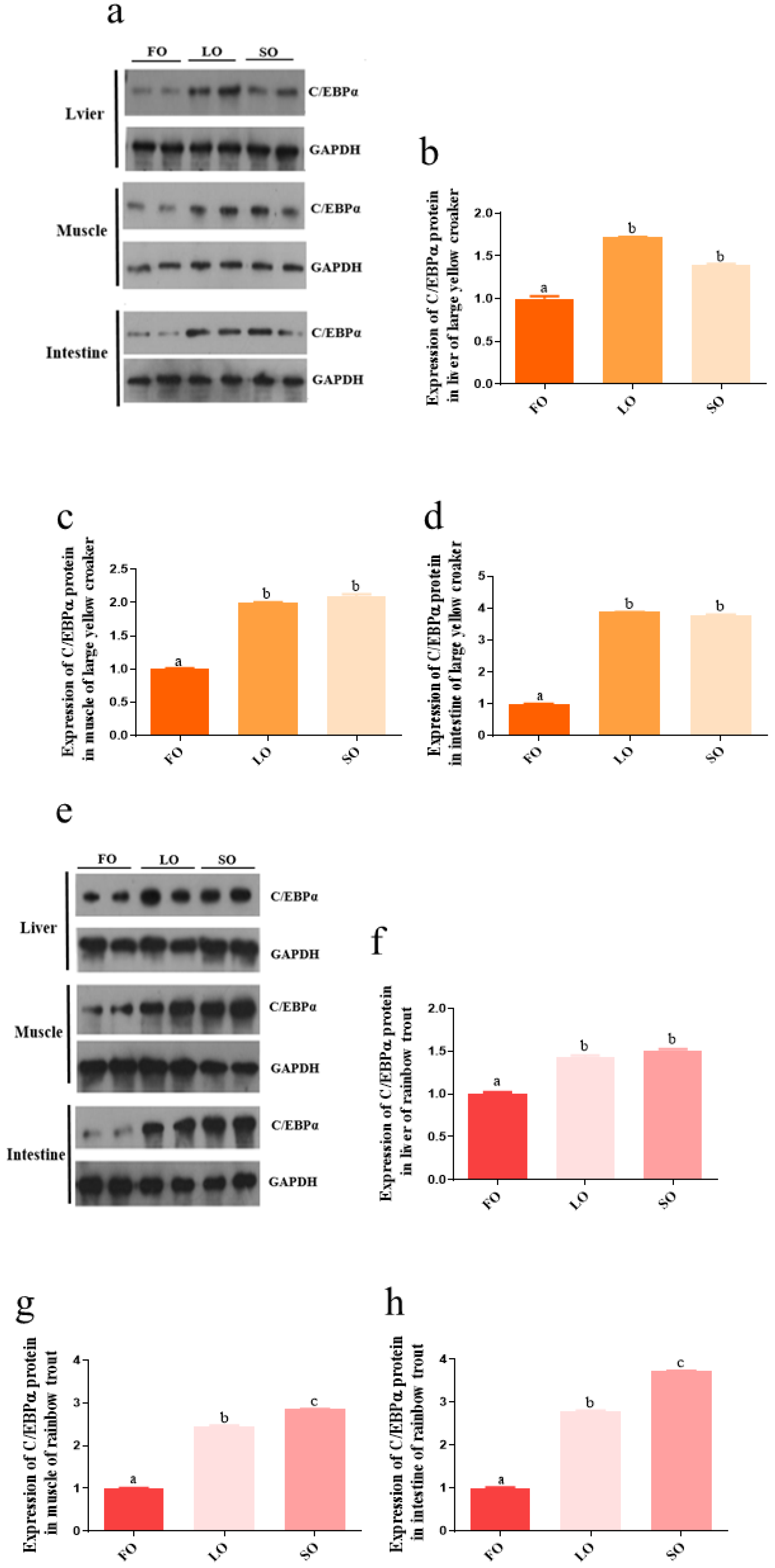 Biomolecules 12 00659 g006 550