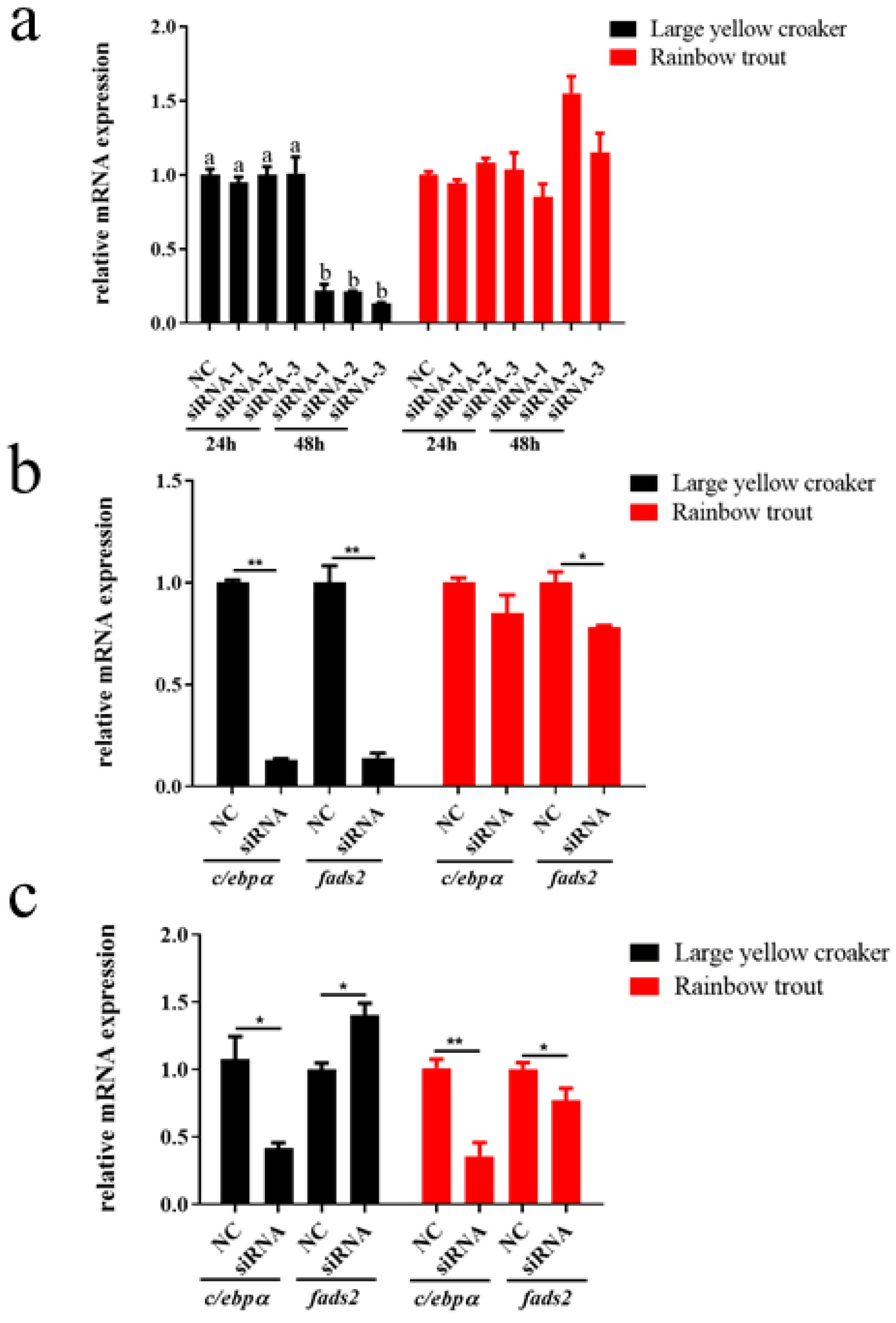 Biomolecules 12 00659 g007 550