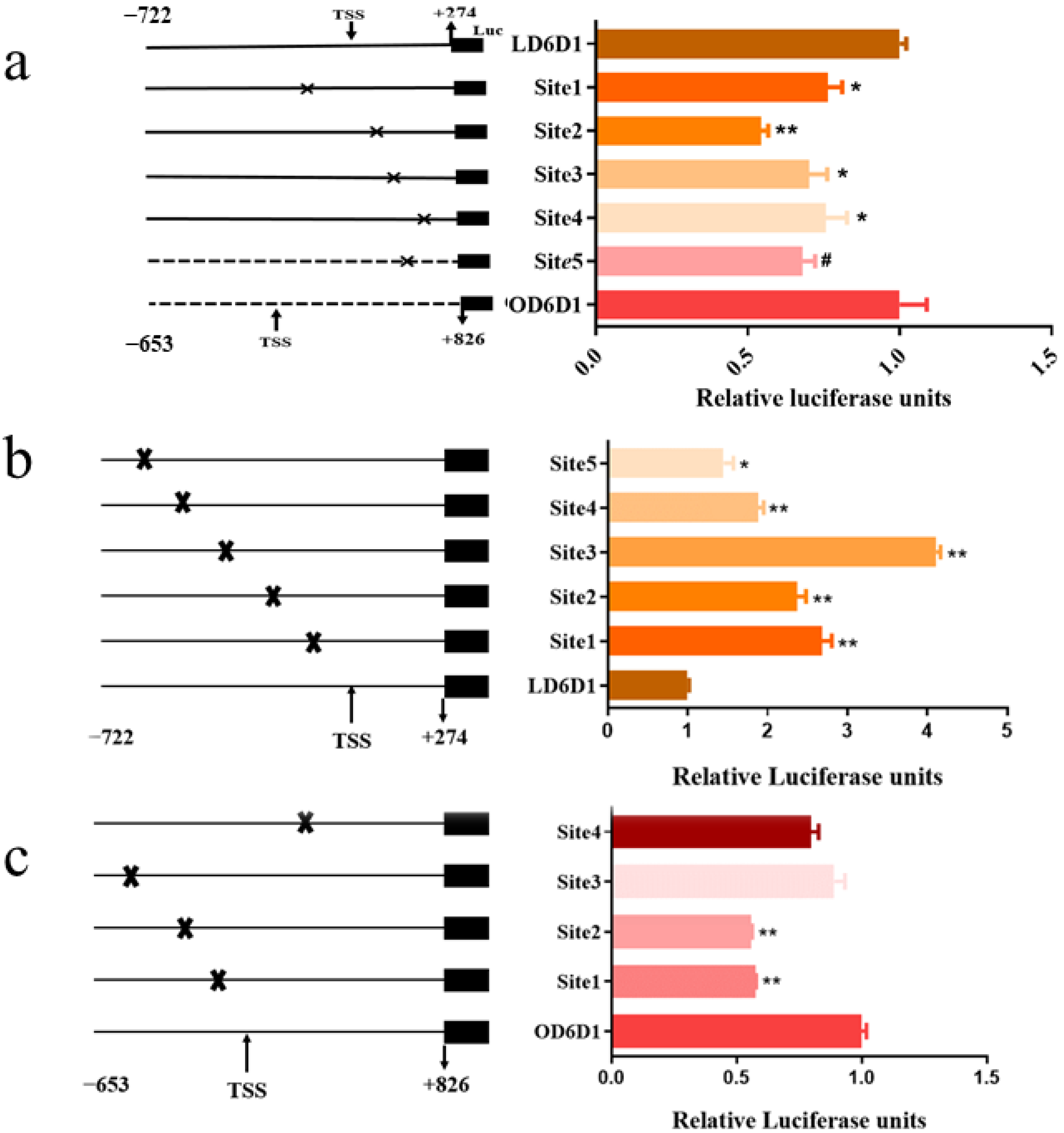 Biomolecules 12 00659 g008 550