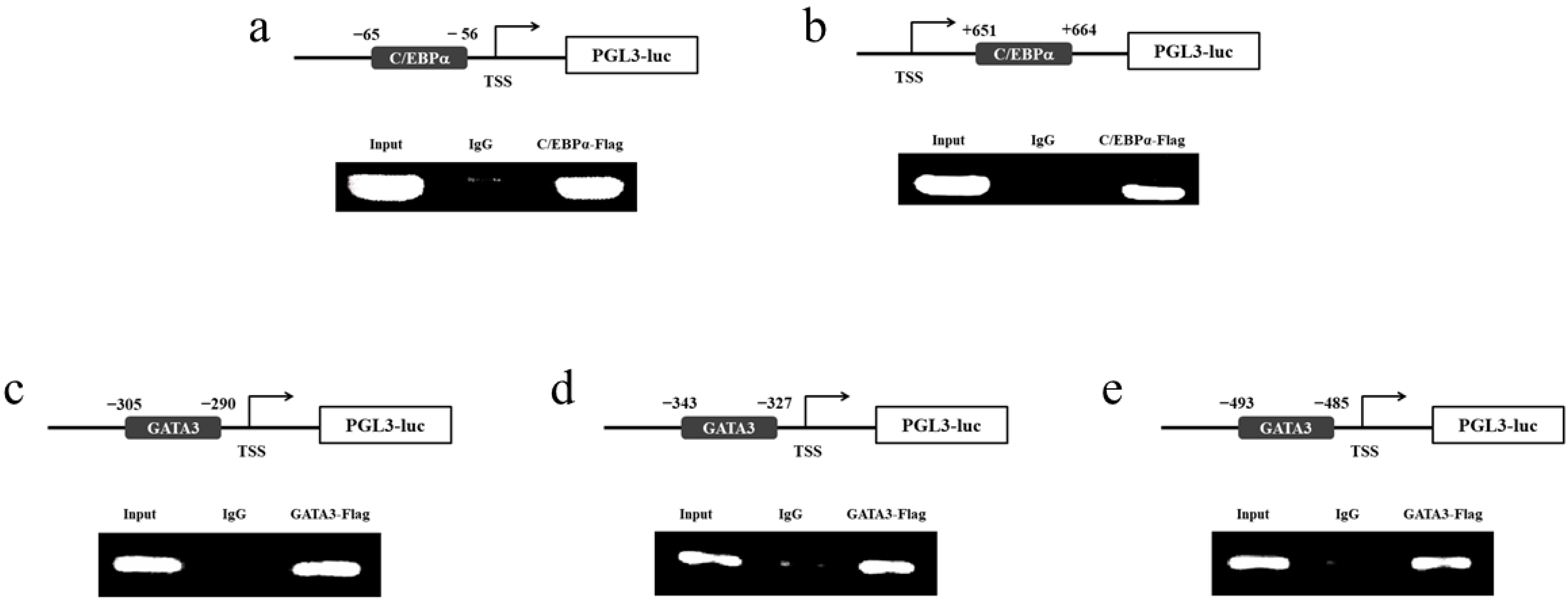 Biomolecules 12 00659 g009 550