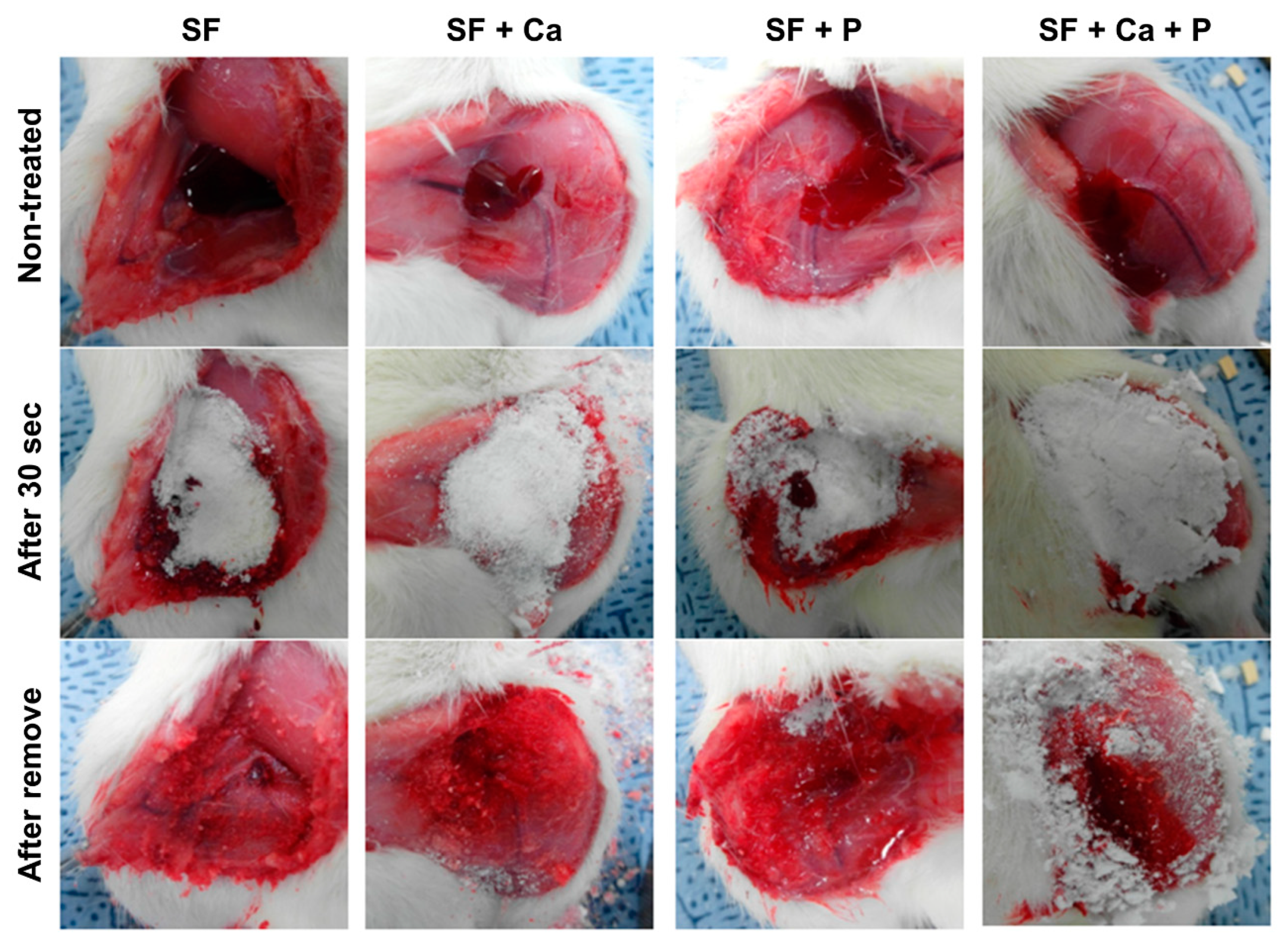 Biomolecules 12 00660 g003 550