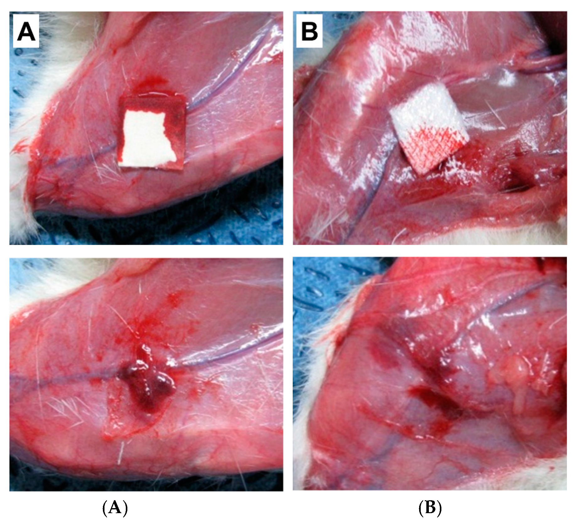 Biomolecules 12 00660 g004 550