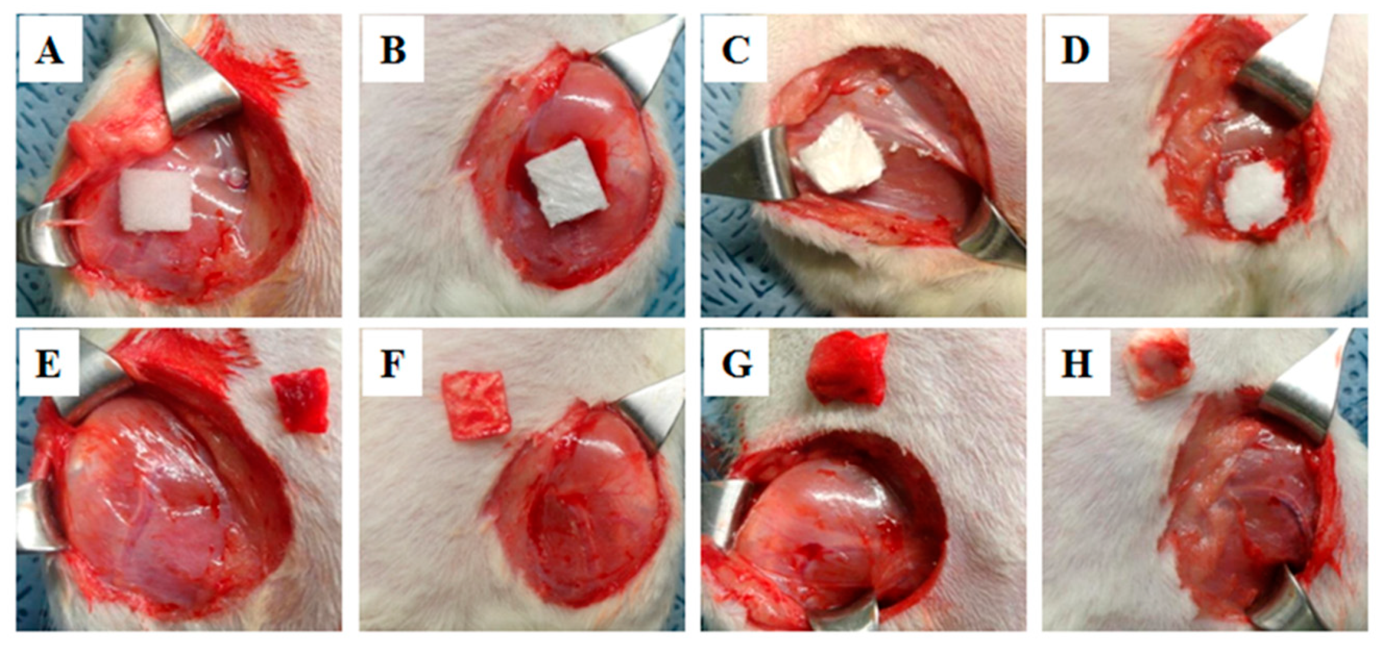 Biomolecules 12 00660 g005 550