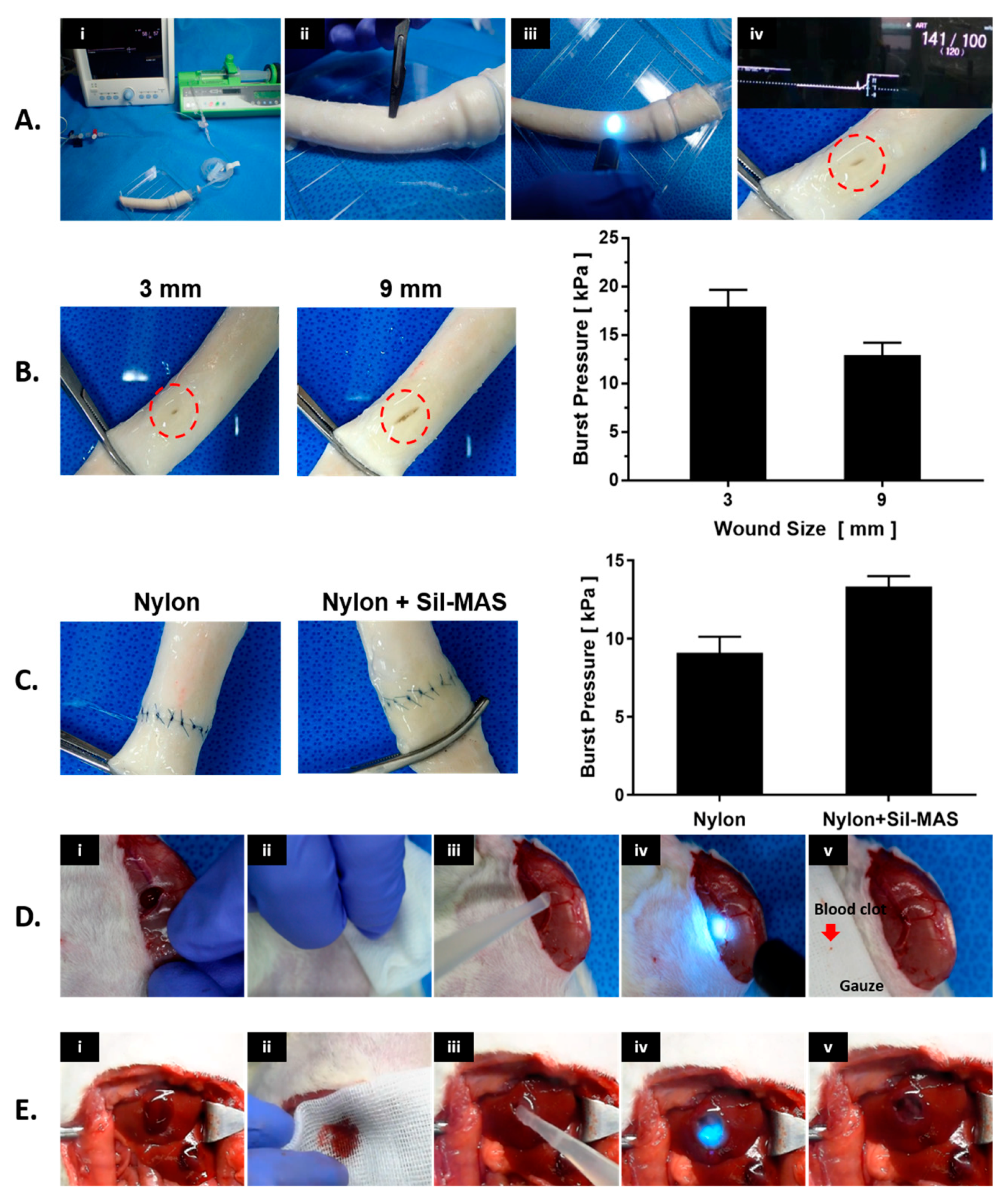 Biomolecules 12 00660 g006 550