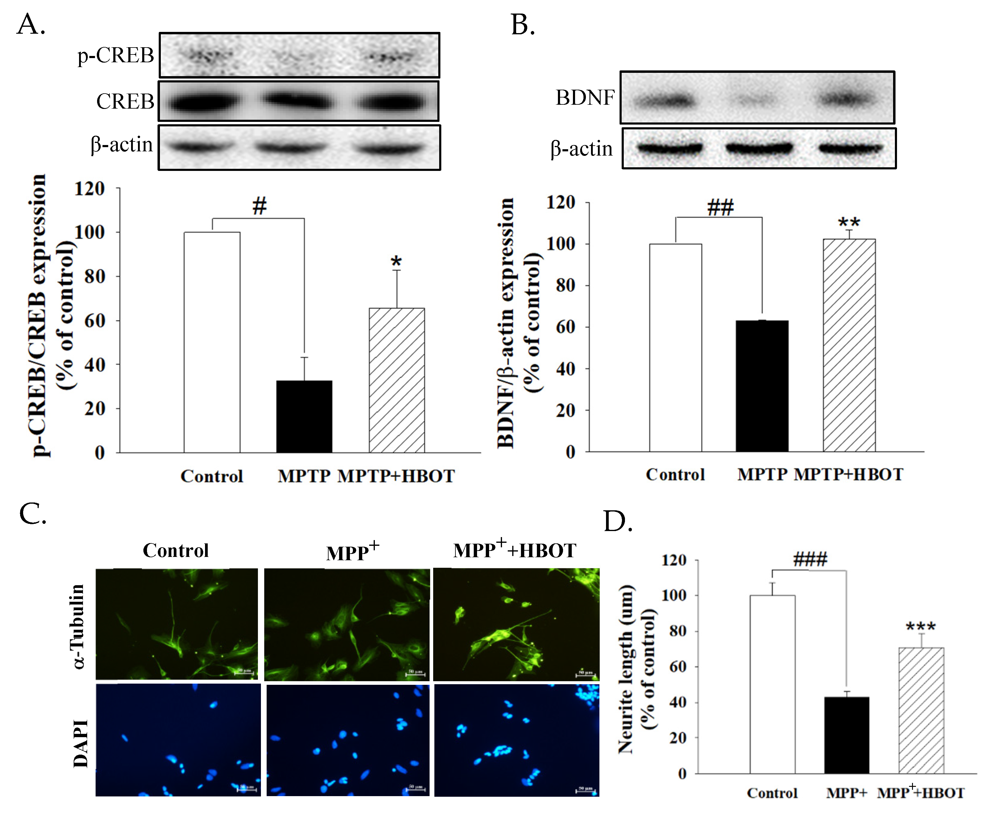 Biomolecules 12 00661 g005 550