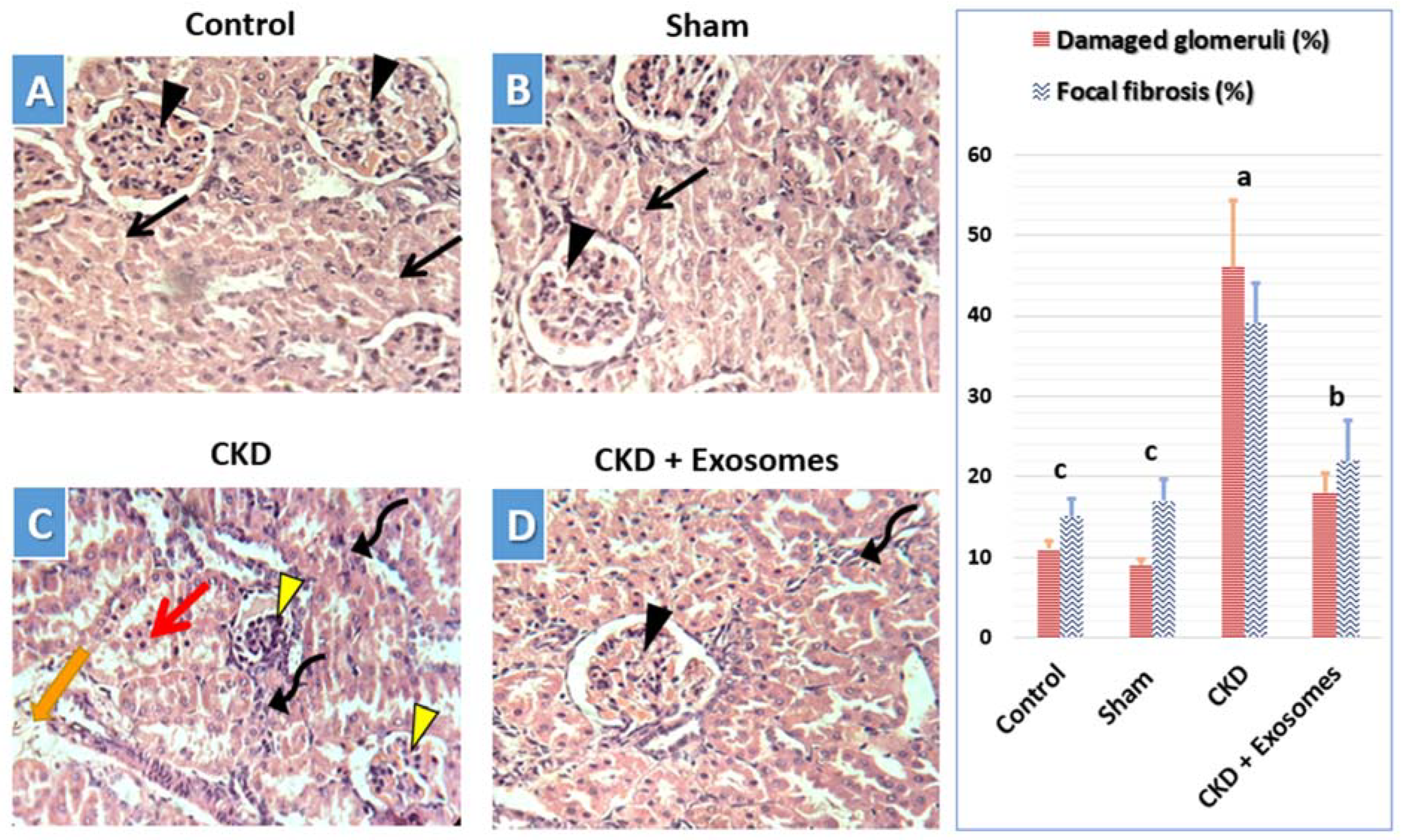 Biomolecules 12 00663 g007