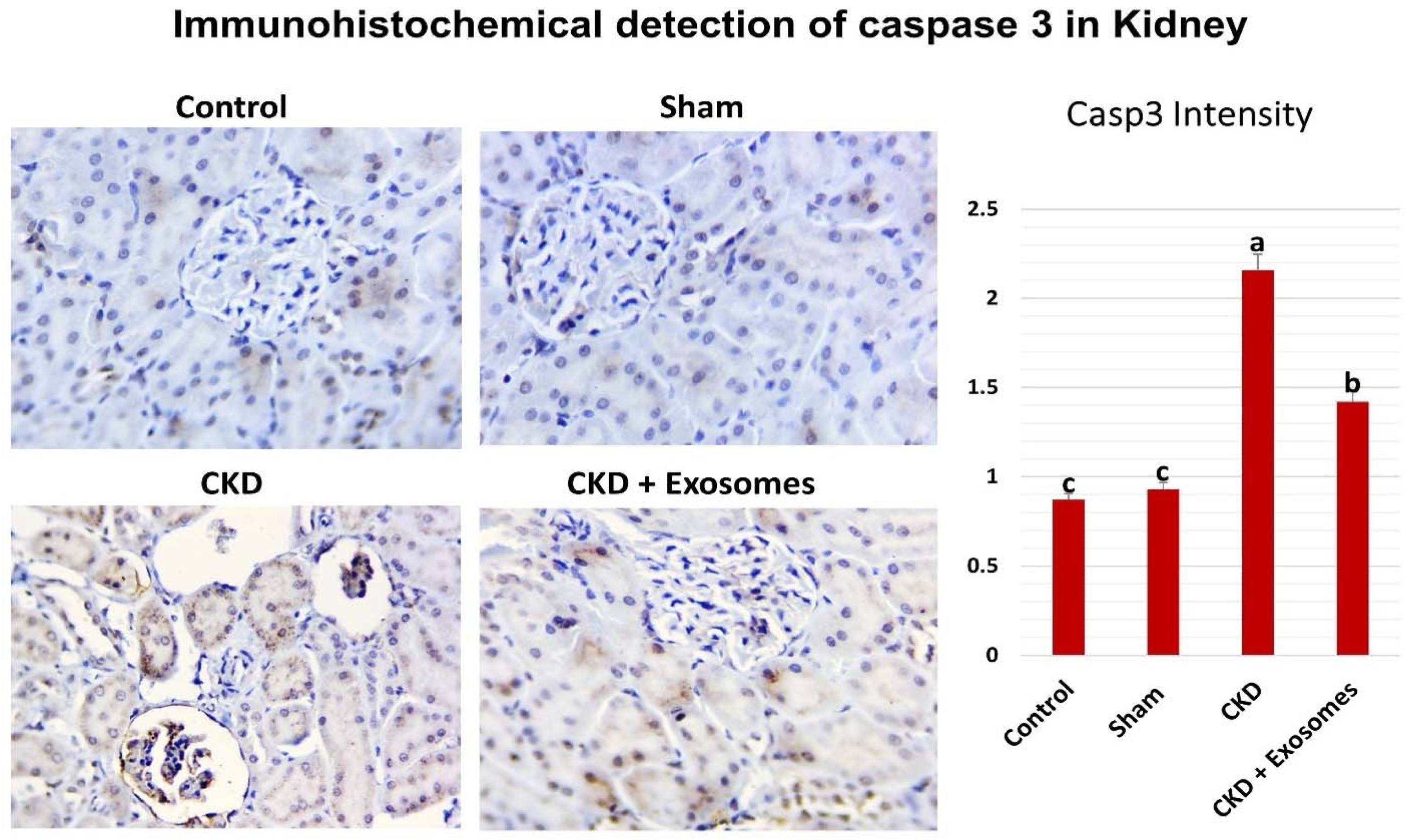Biomolecules 12 00663 g008