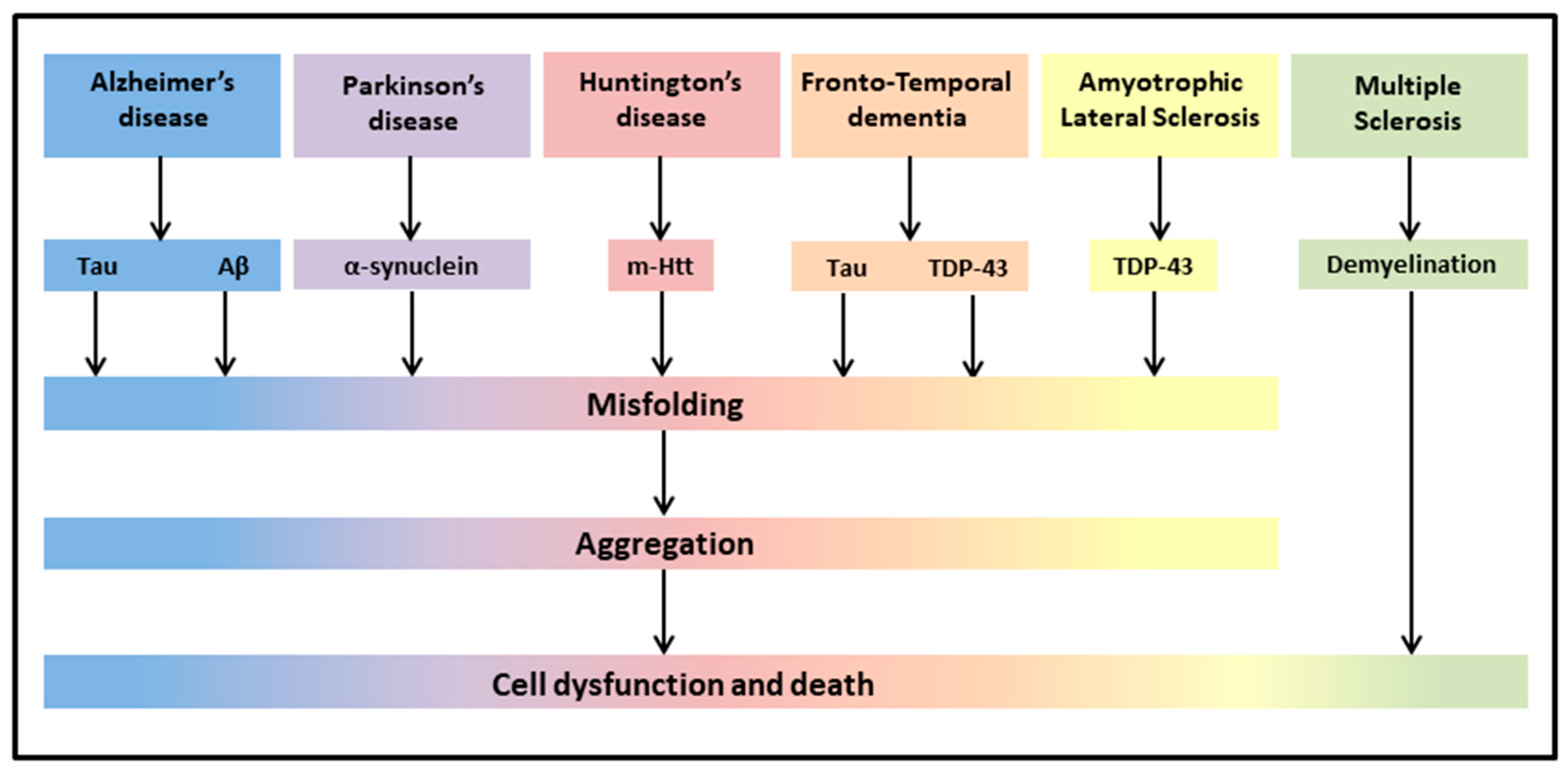 Biomolecules 12 00667 g001