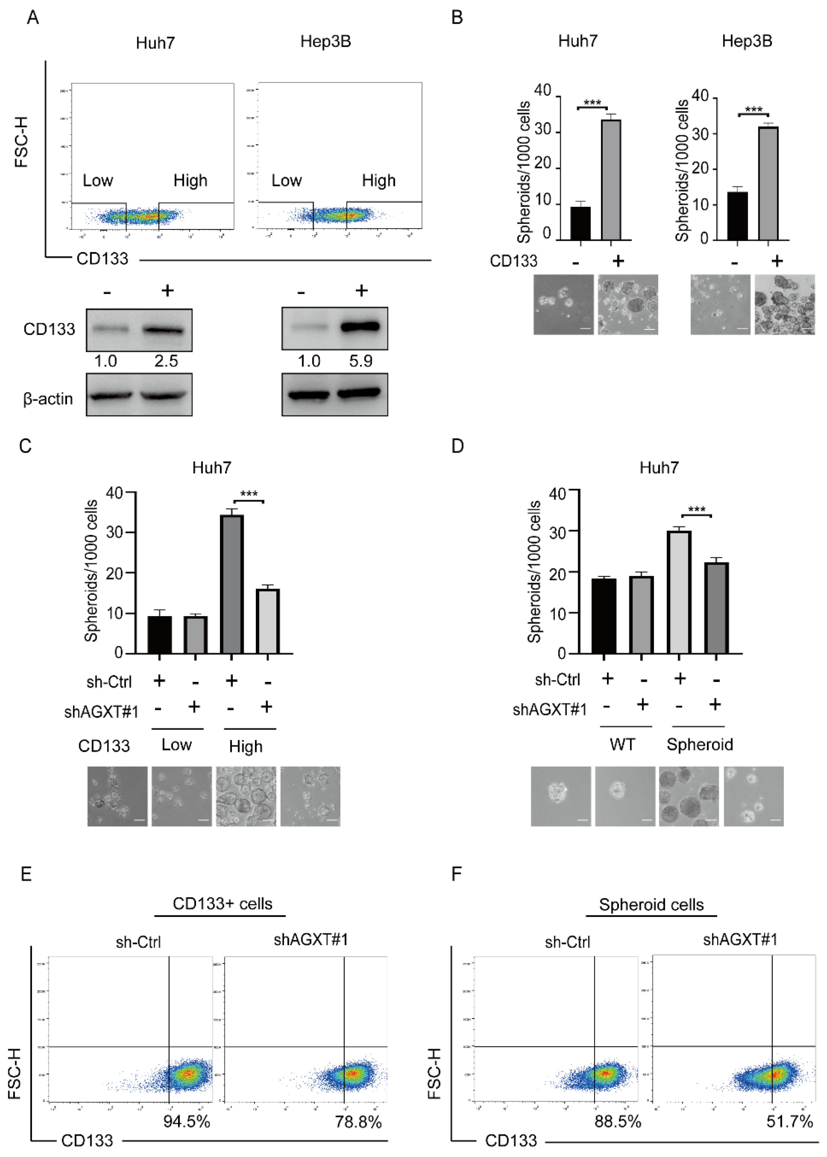 Biomolecules 12 00668 g003 550