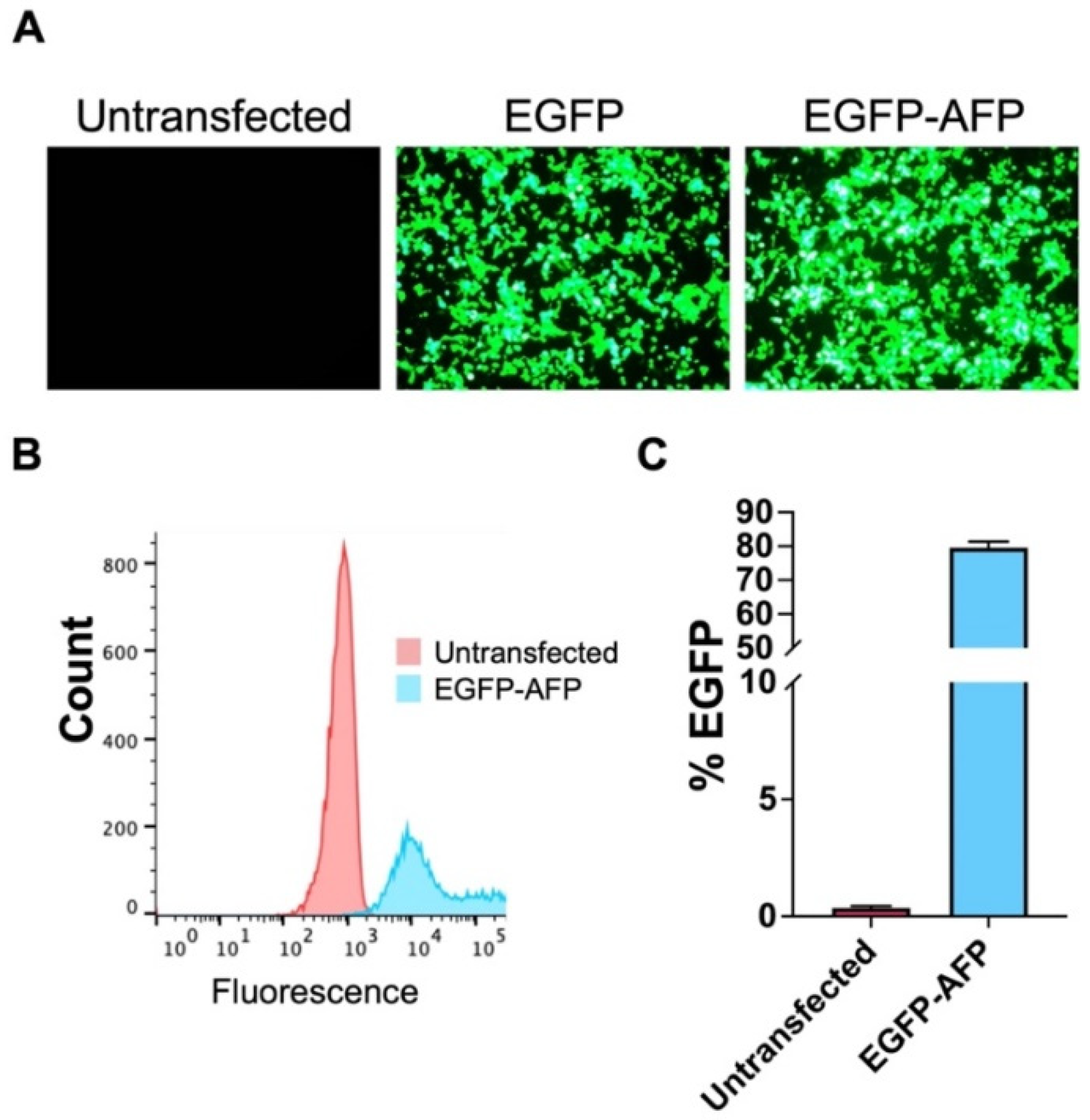 Biomolecules 12 00669 g001