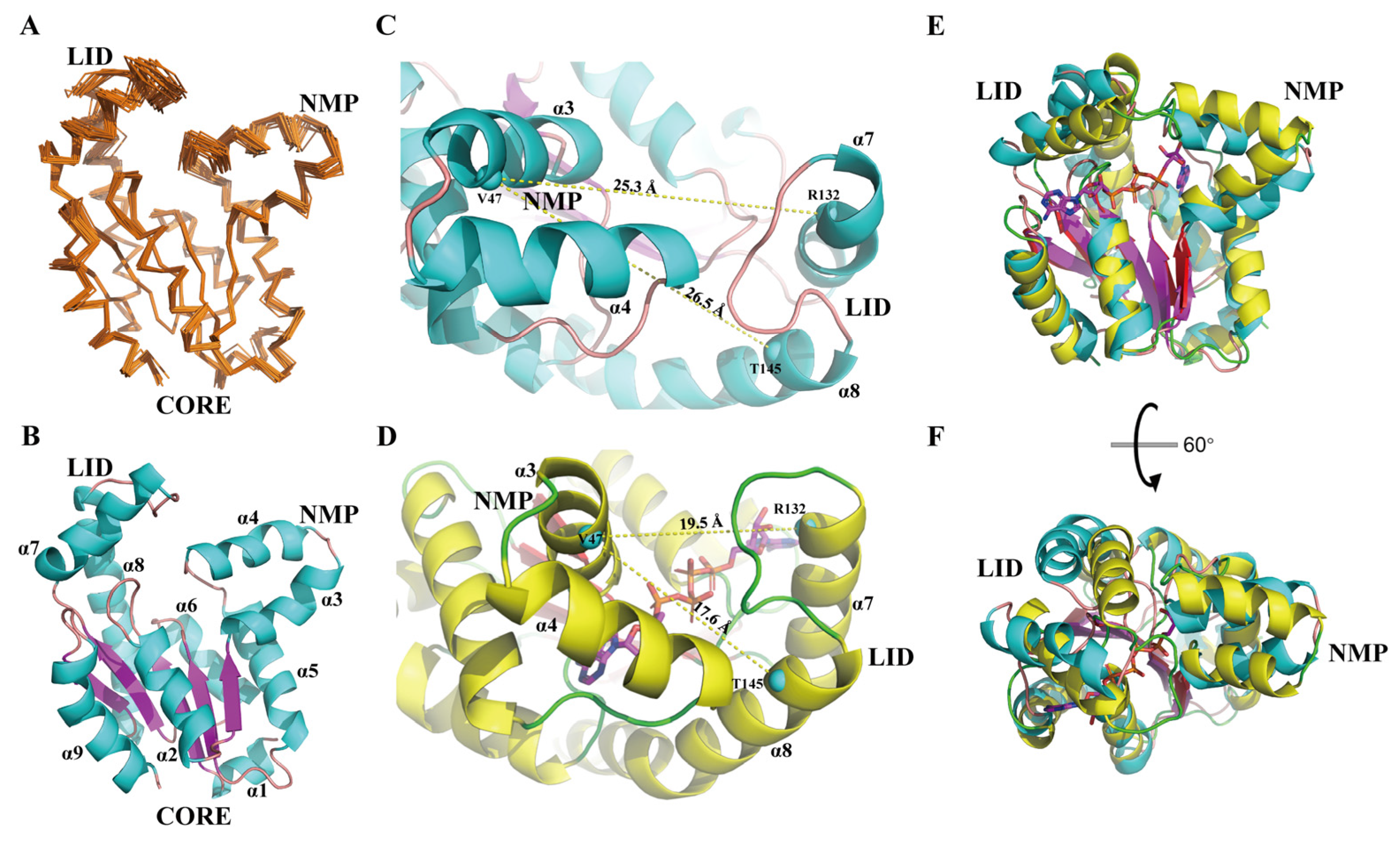 Biomolecules 12 00671 g001 Biomolecules 12 00671 g001