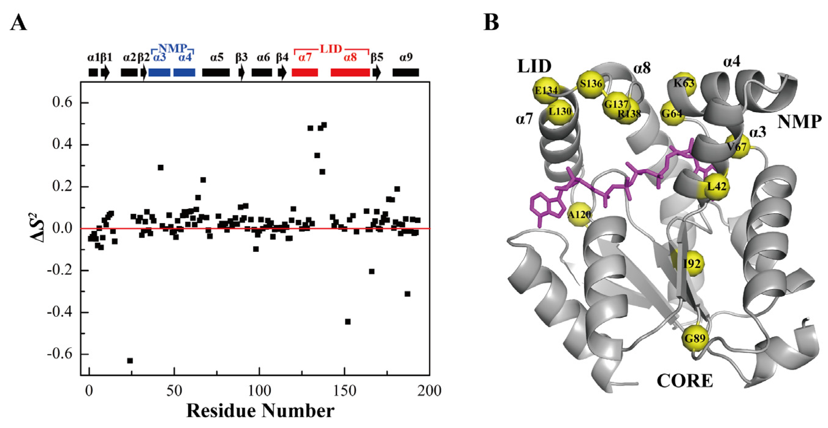 Biomolecules 12 00671 g005 Biomolecules 12 00671 g005
